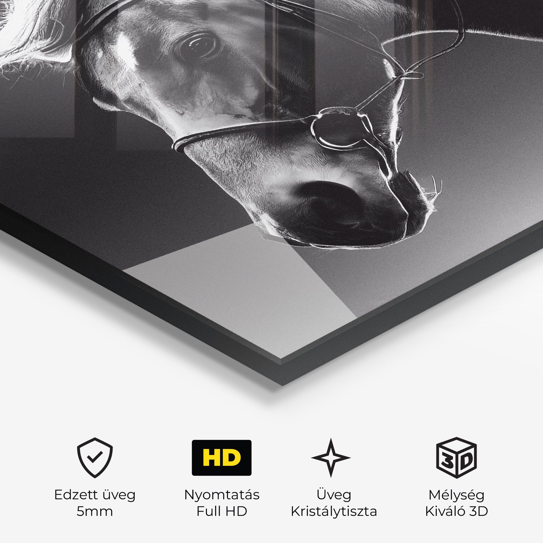 Black Horse Profile mockup 3