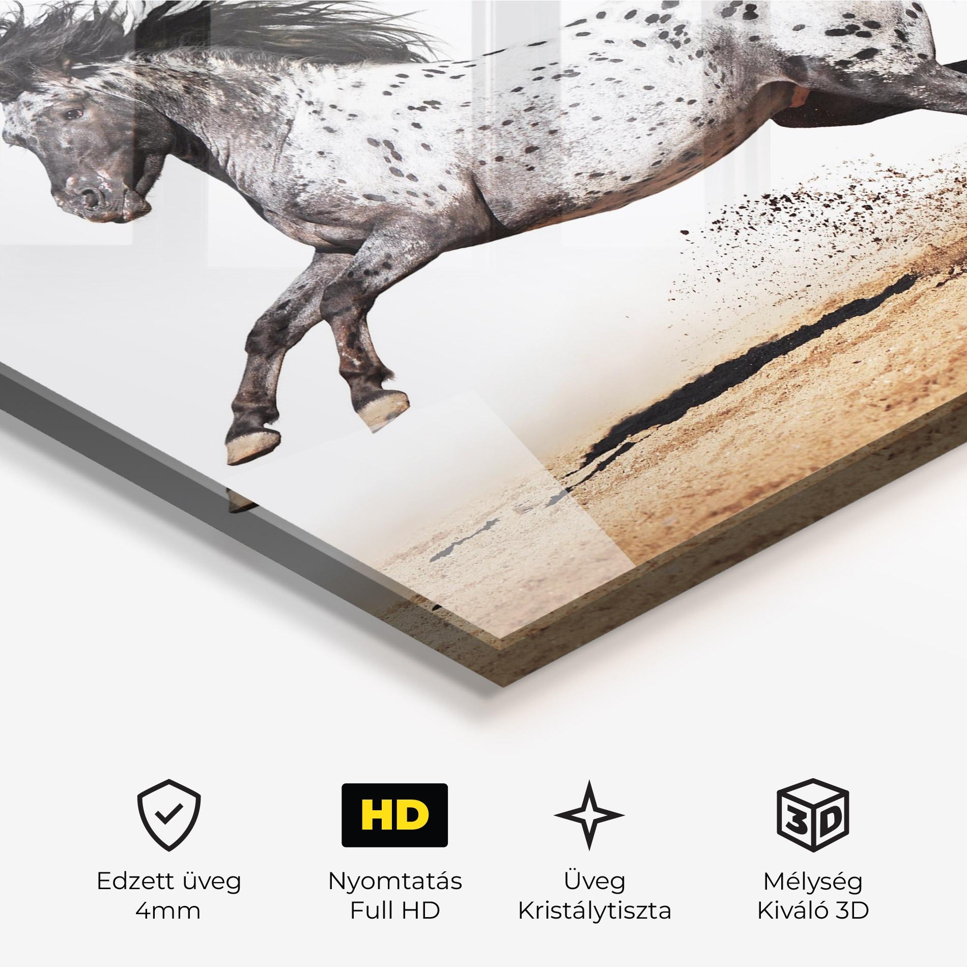 Üvegkép Appaloosa Horse Running mockup 3