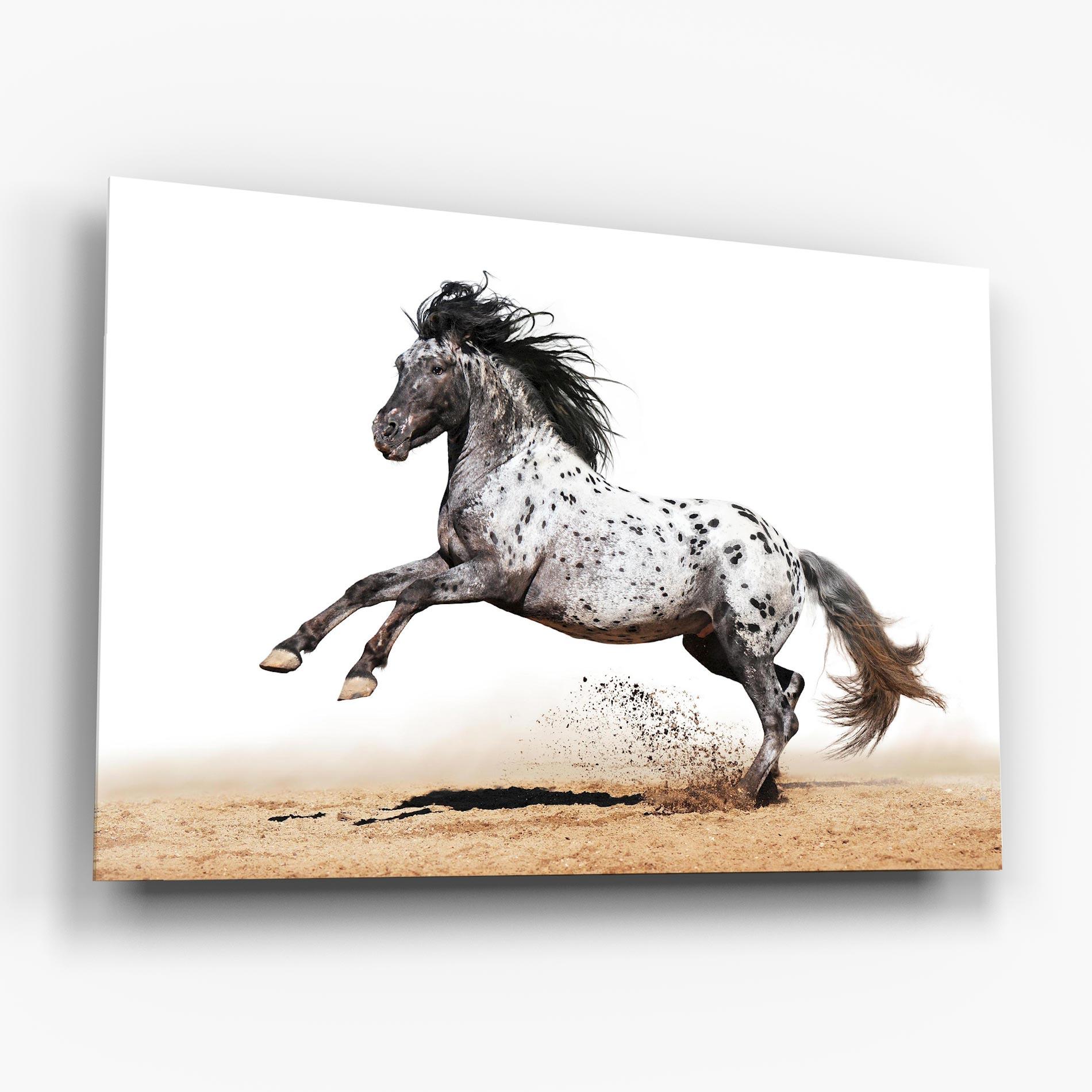 Üvegkép Appaloosa Horse Running mockup 6