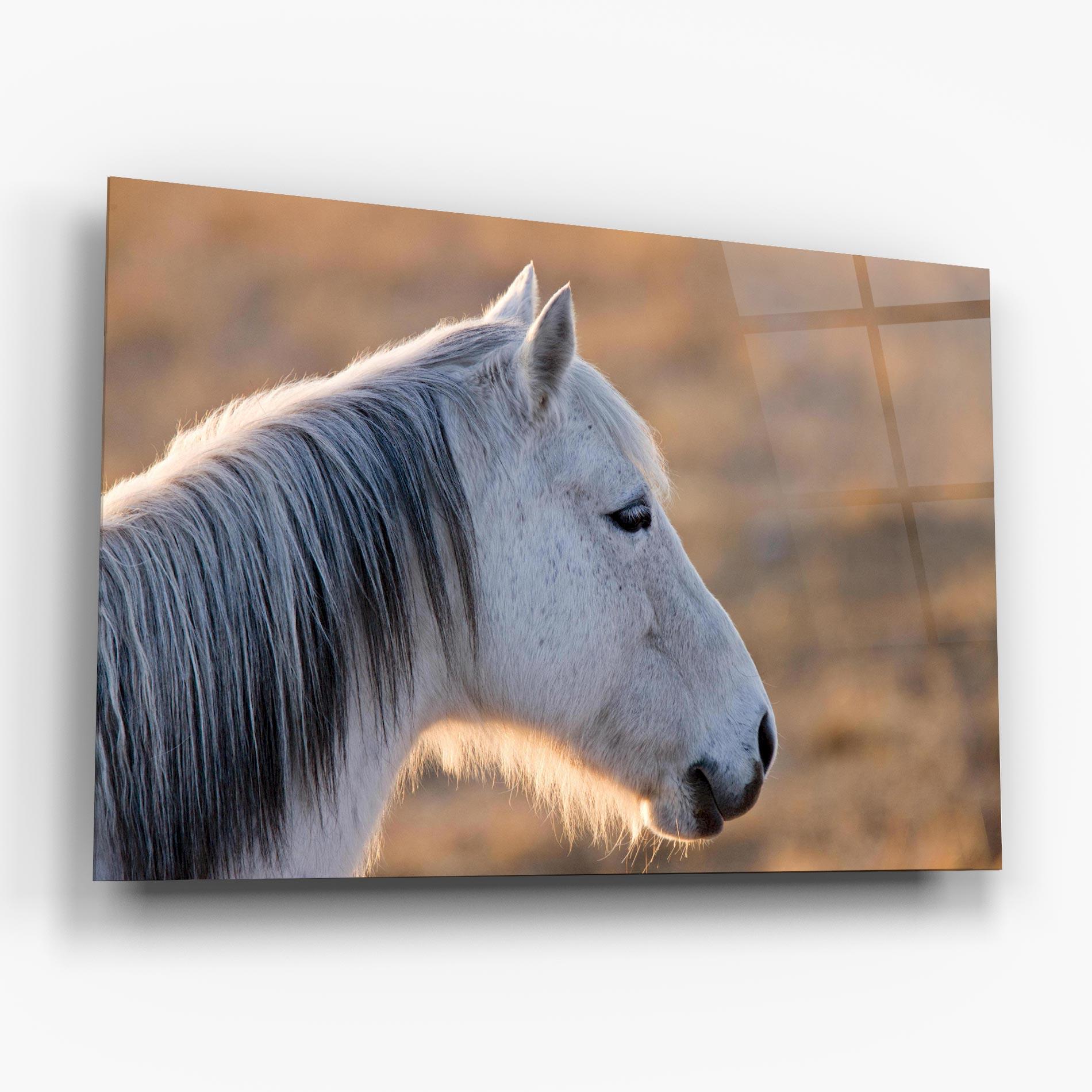 Üvegkép Light Gray Horse Looking mockup 6