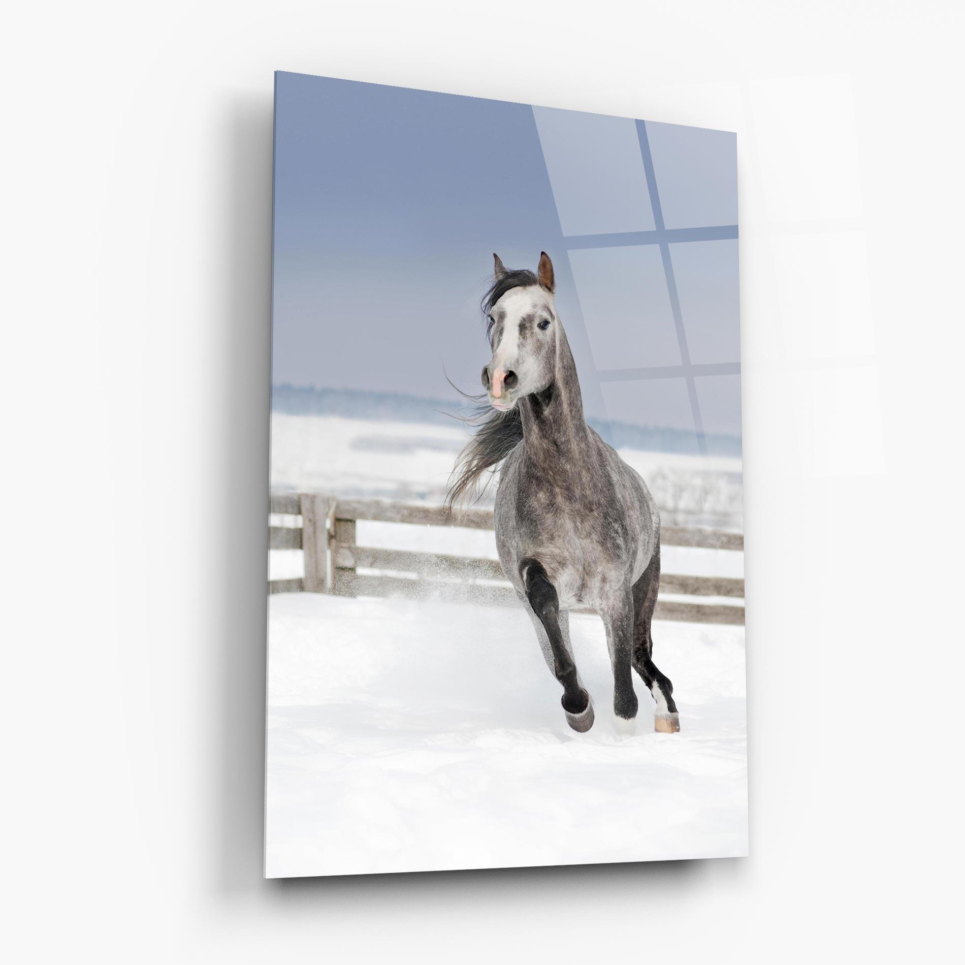 Üvegkép Horse Running Free mockup 6