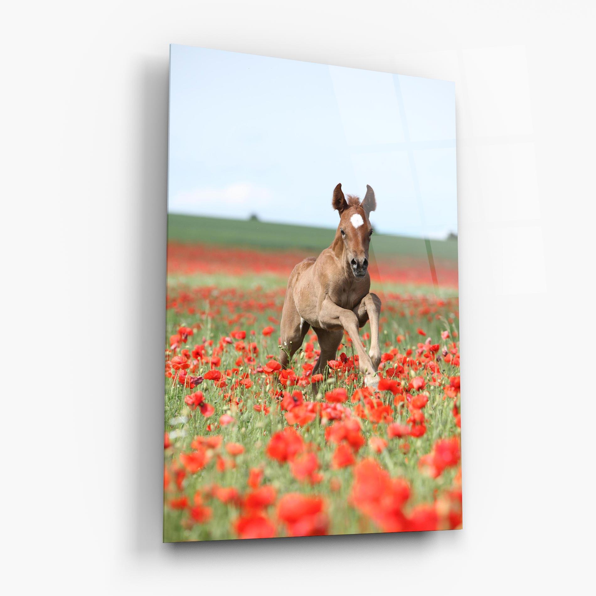Üvegkép Red Flowers Horse mockup 6