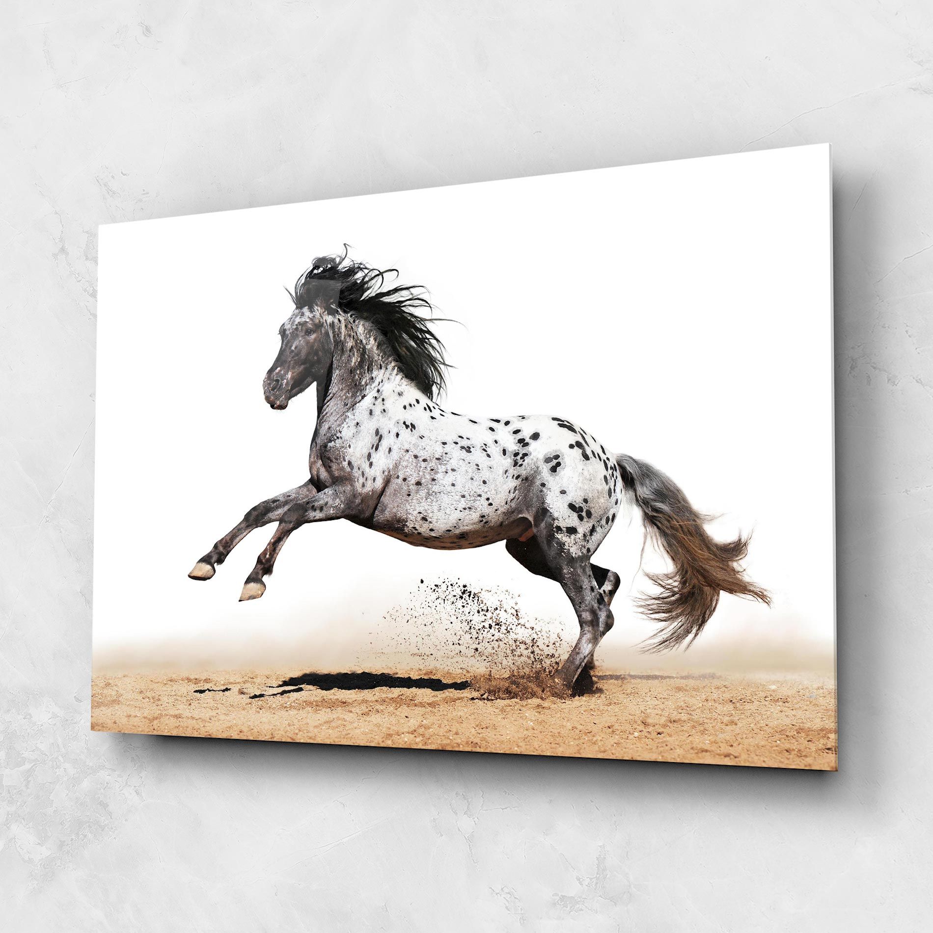 Appaloosa Horse Running mockup 1