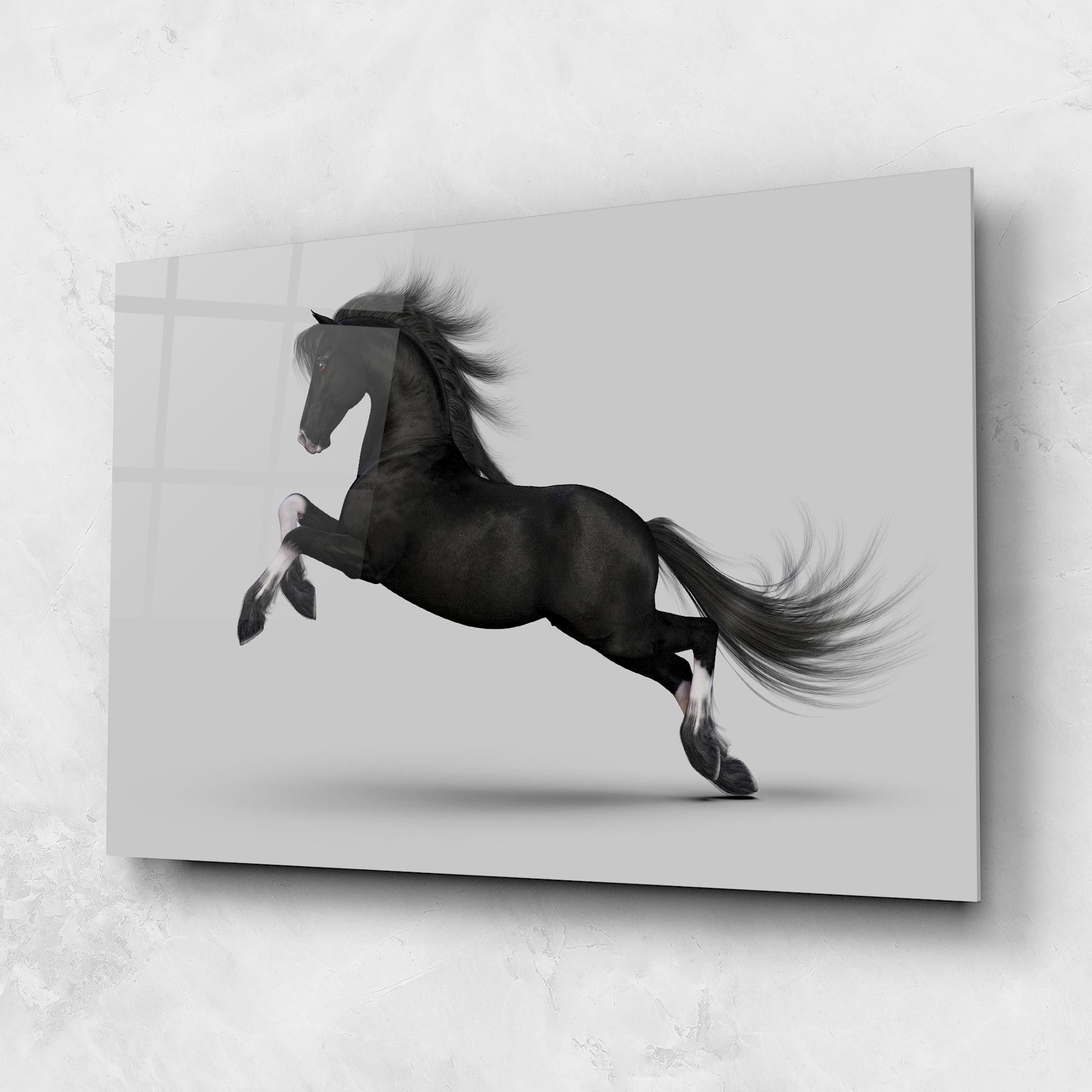 Black Horse Galloping mockup 1