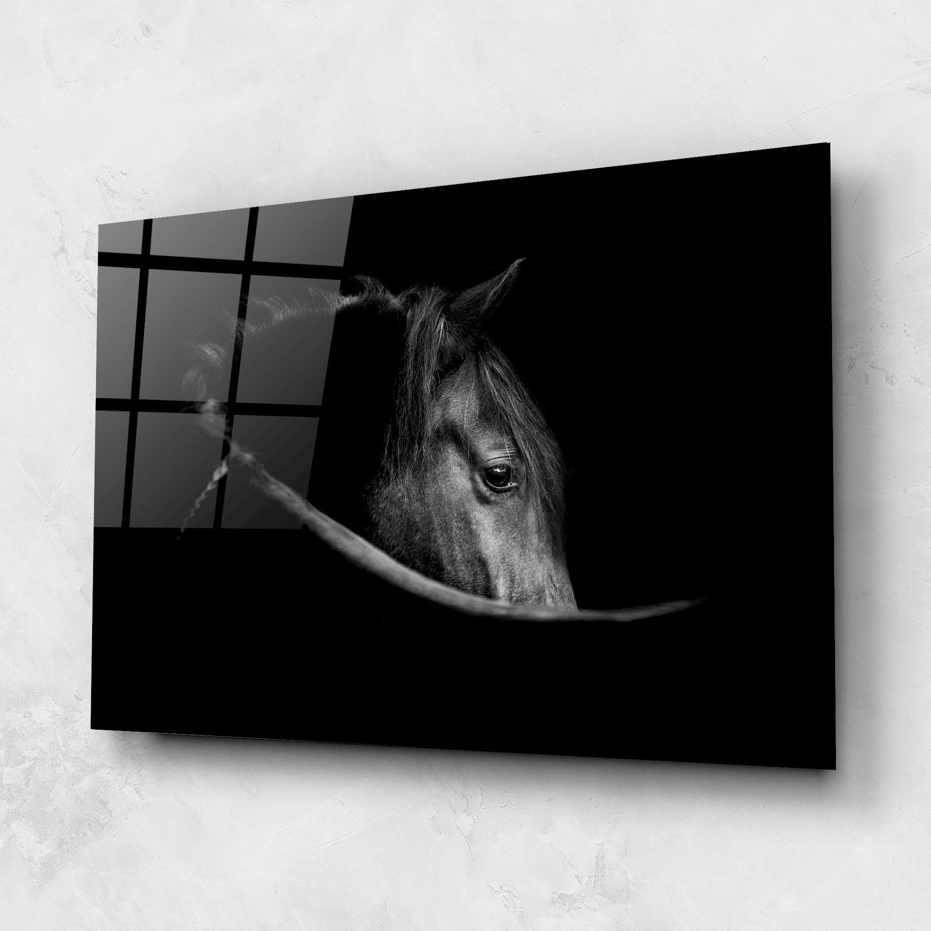 Üvegkép Black Horse Looking mockup 1