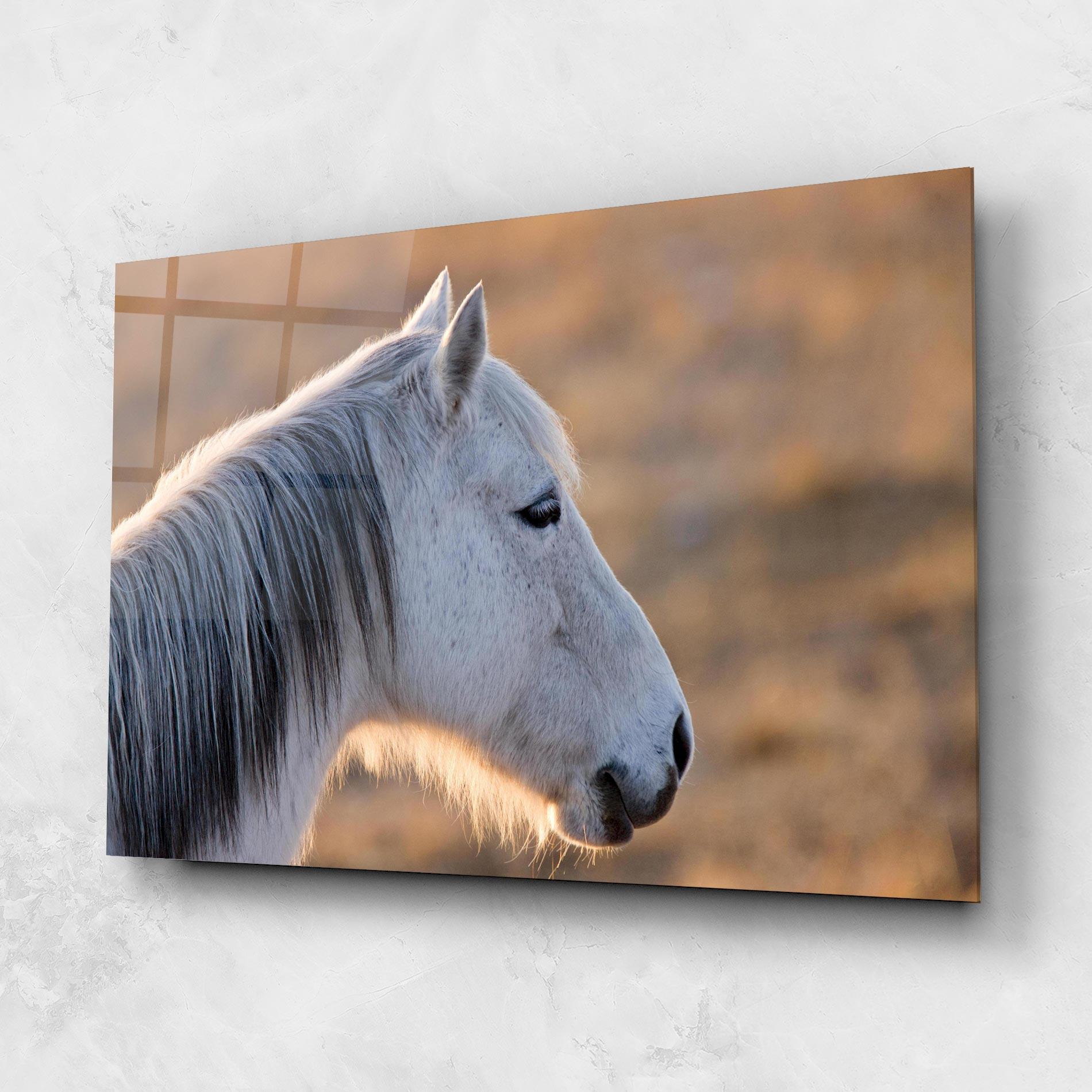 Üvegkép Light Gray Horse Looking mockup 1