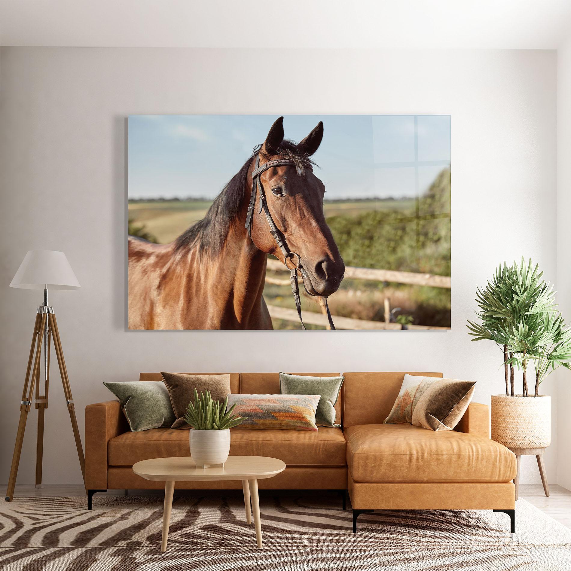 Üvegkép Brown Horse Close Up mockup 7
