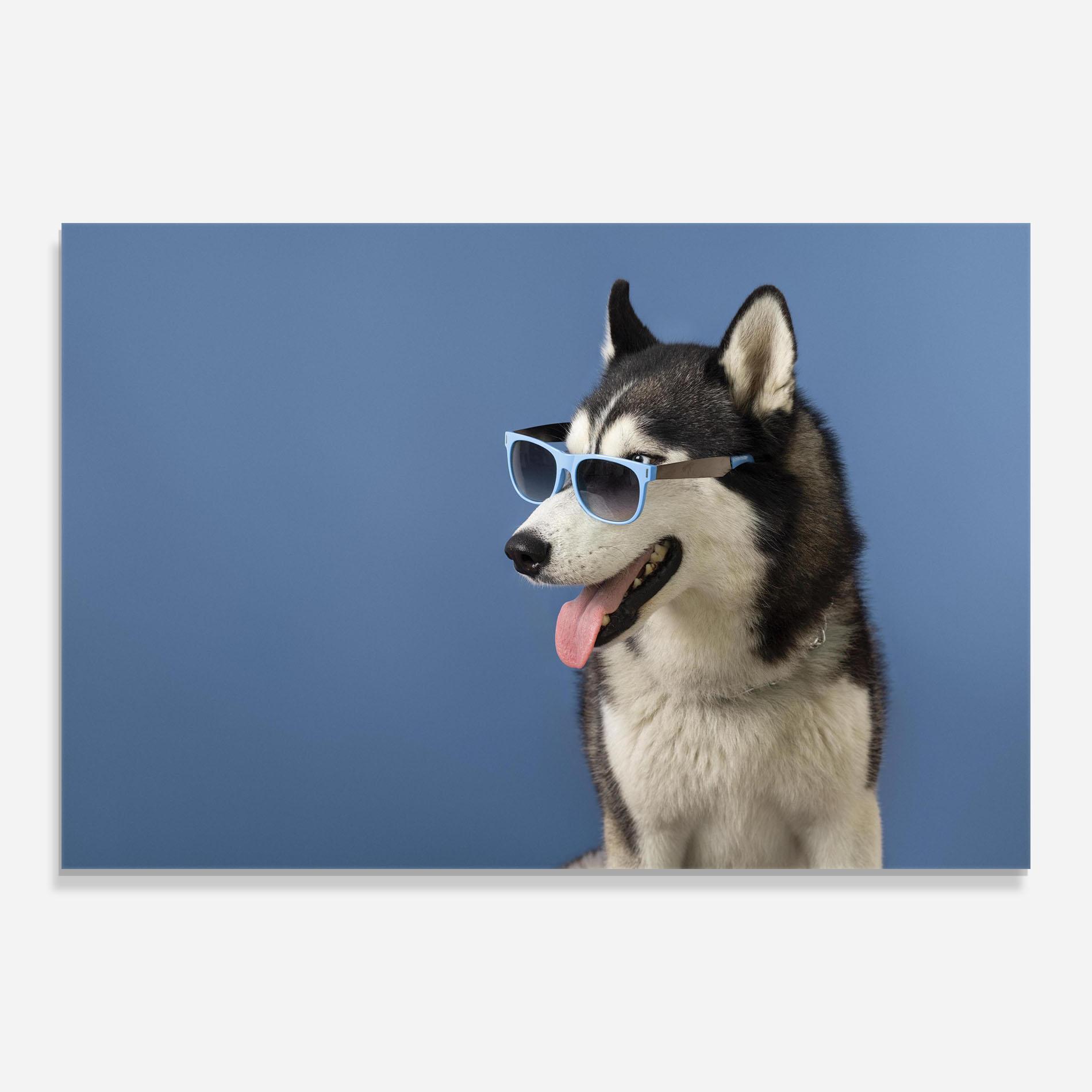 Üvegkép Blue Glasses Dog mockup 0