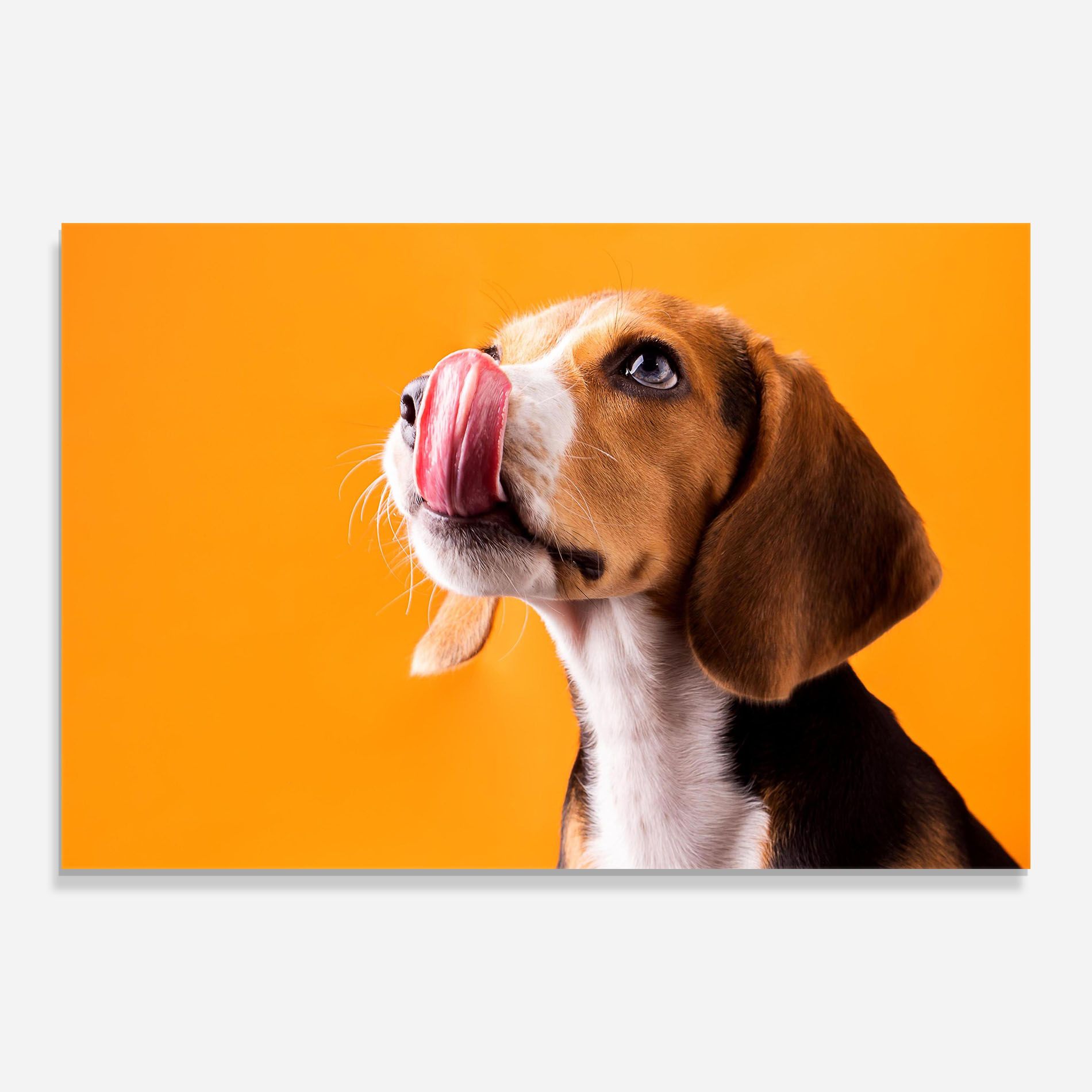 Cute Beagle Puppy mockup 0