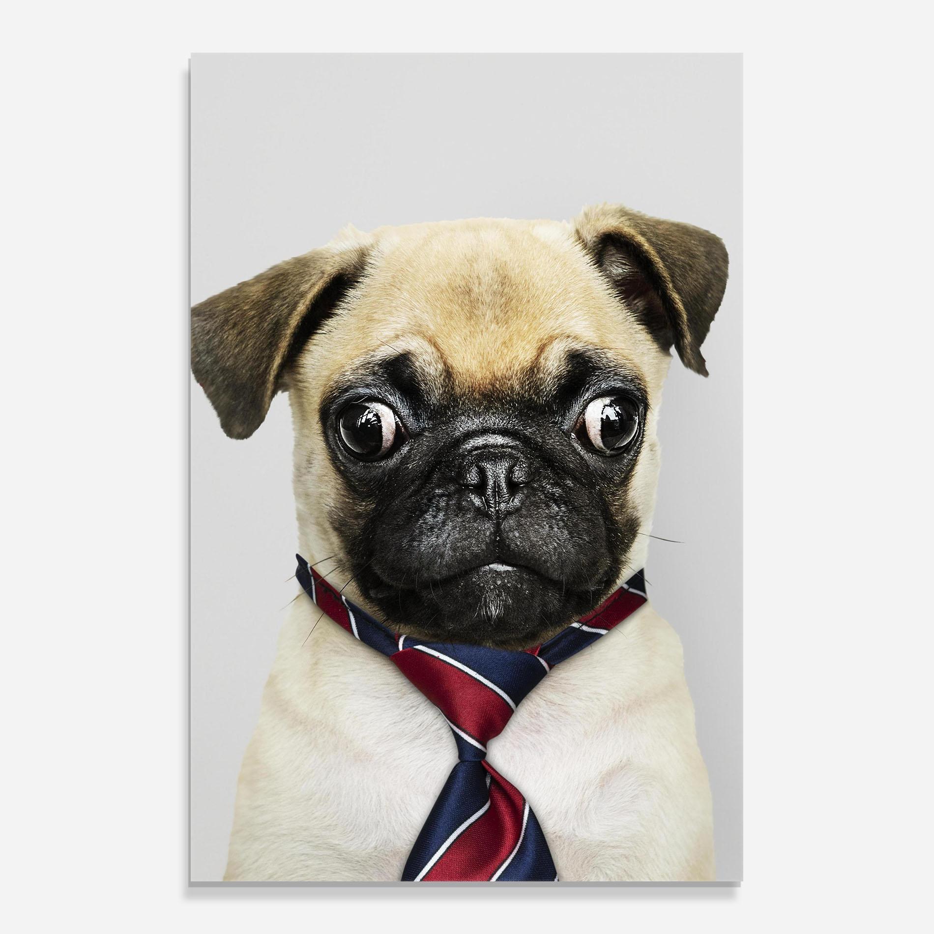 Üvegkép Business Pug mockup 0