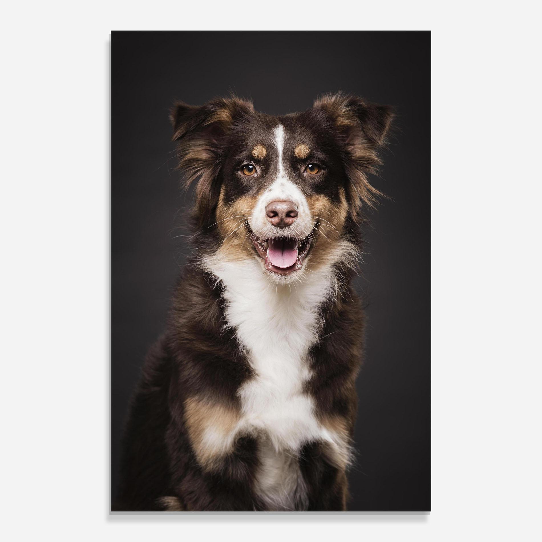 Üvegkép Cute Dog Sitting mockup 0