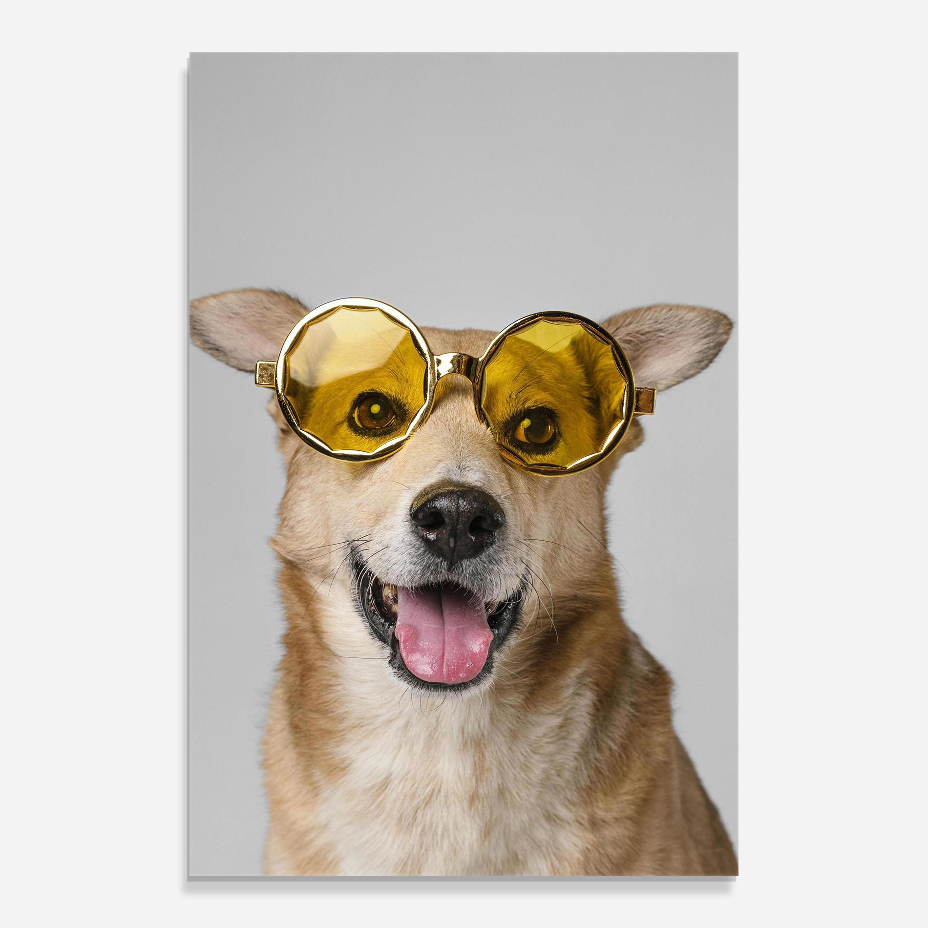 Üvegkép Cute Smiley Dog mockup 0