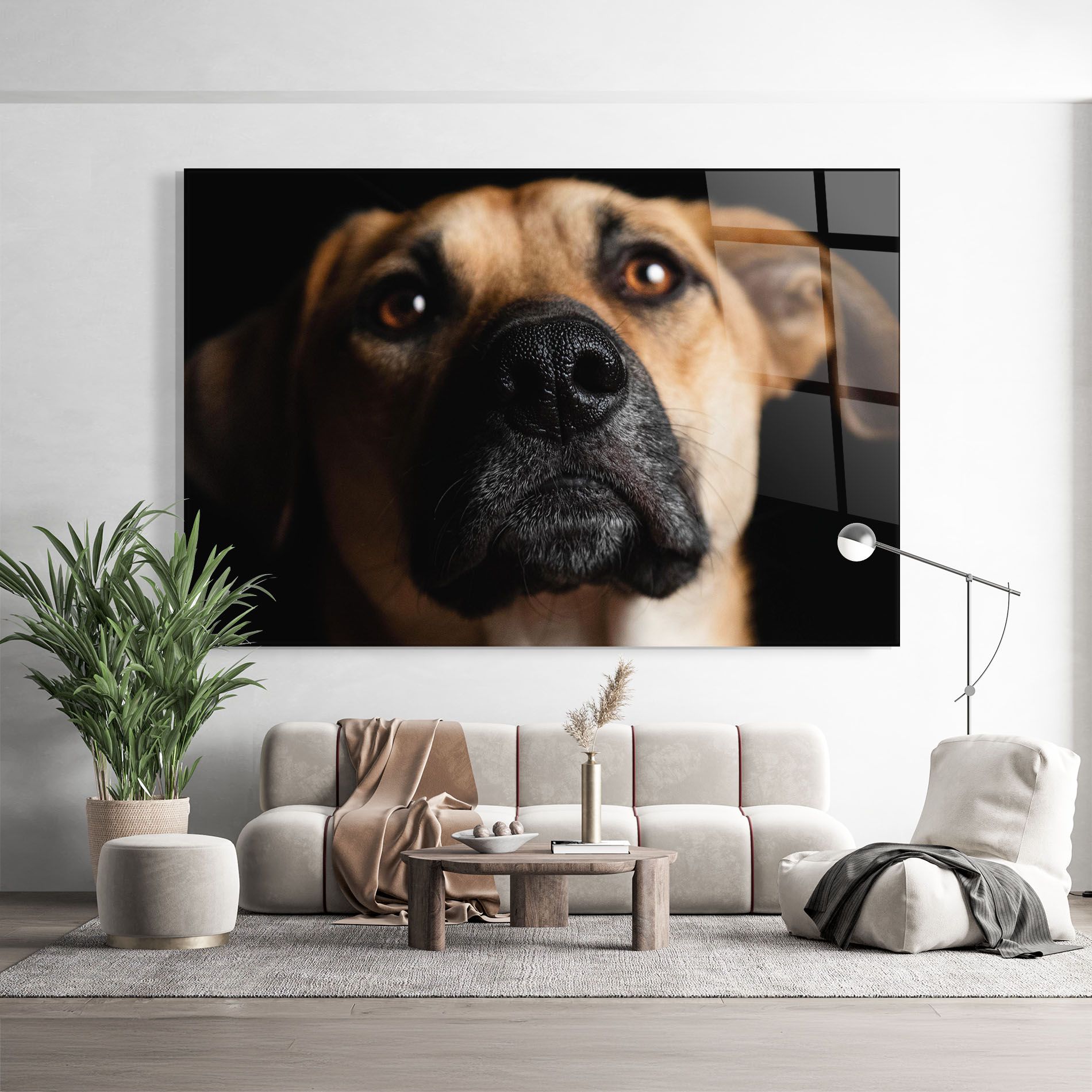 Black Nose Dog mockup 9