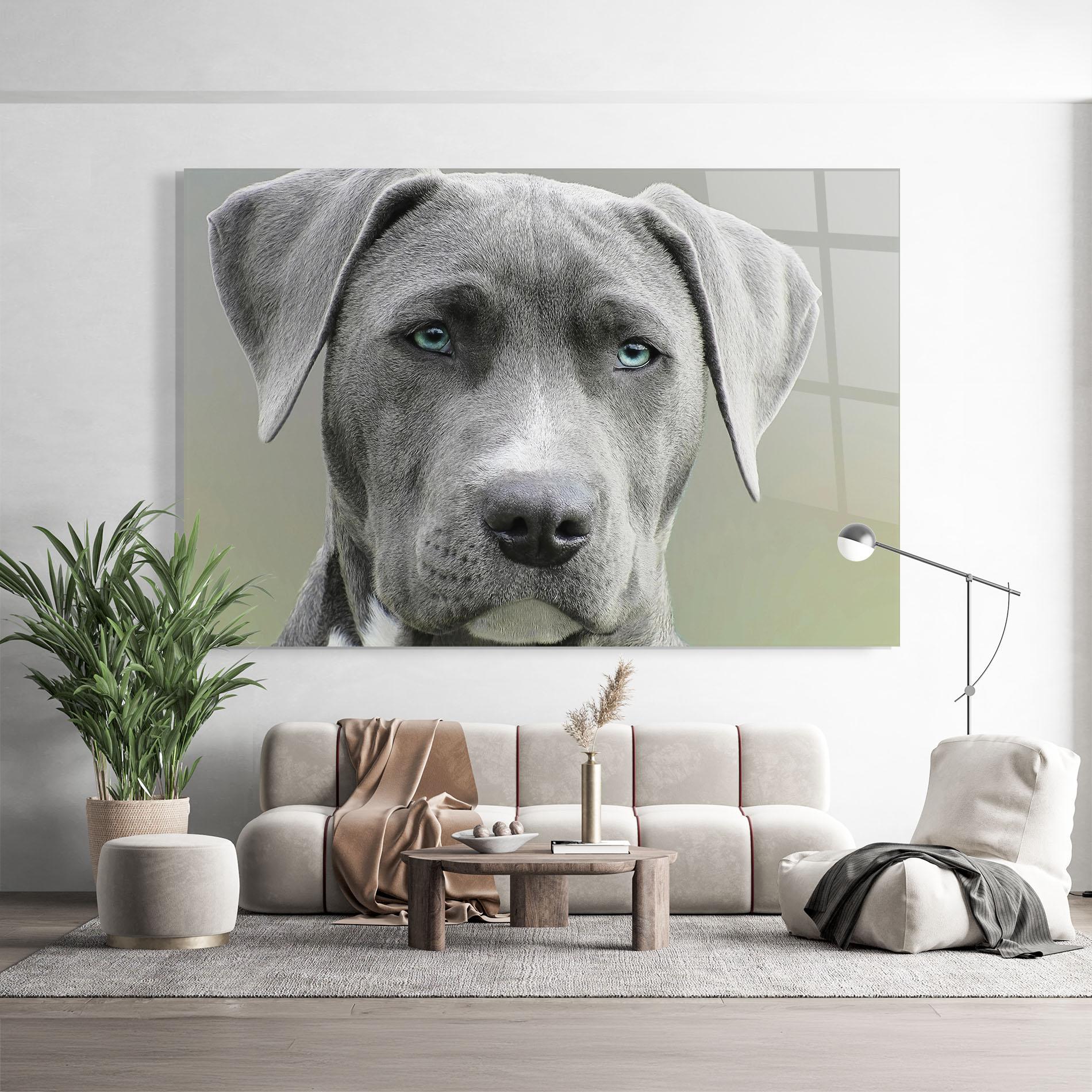 Üvegkép Blue Eyes Dog mockup 9