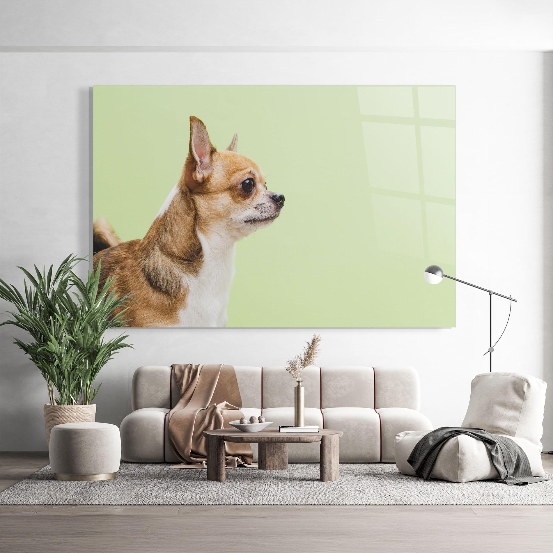 Üvegkép Chihuahua Dog mockup 9