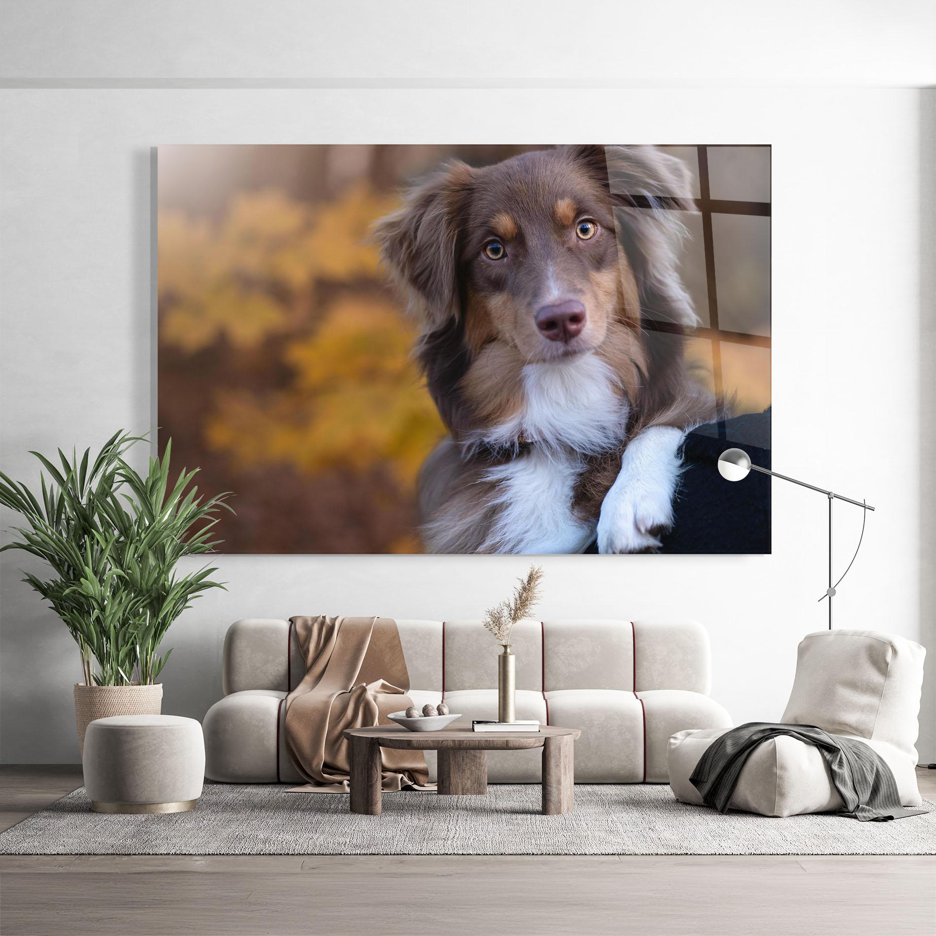 Üvegkép Coffee Brown Dog mockup 9