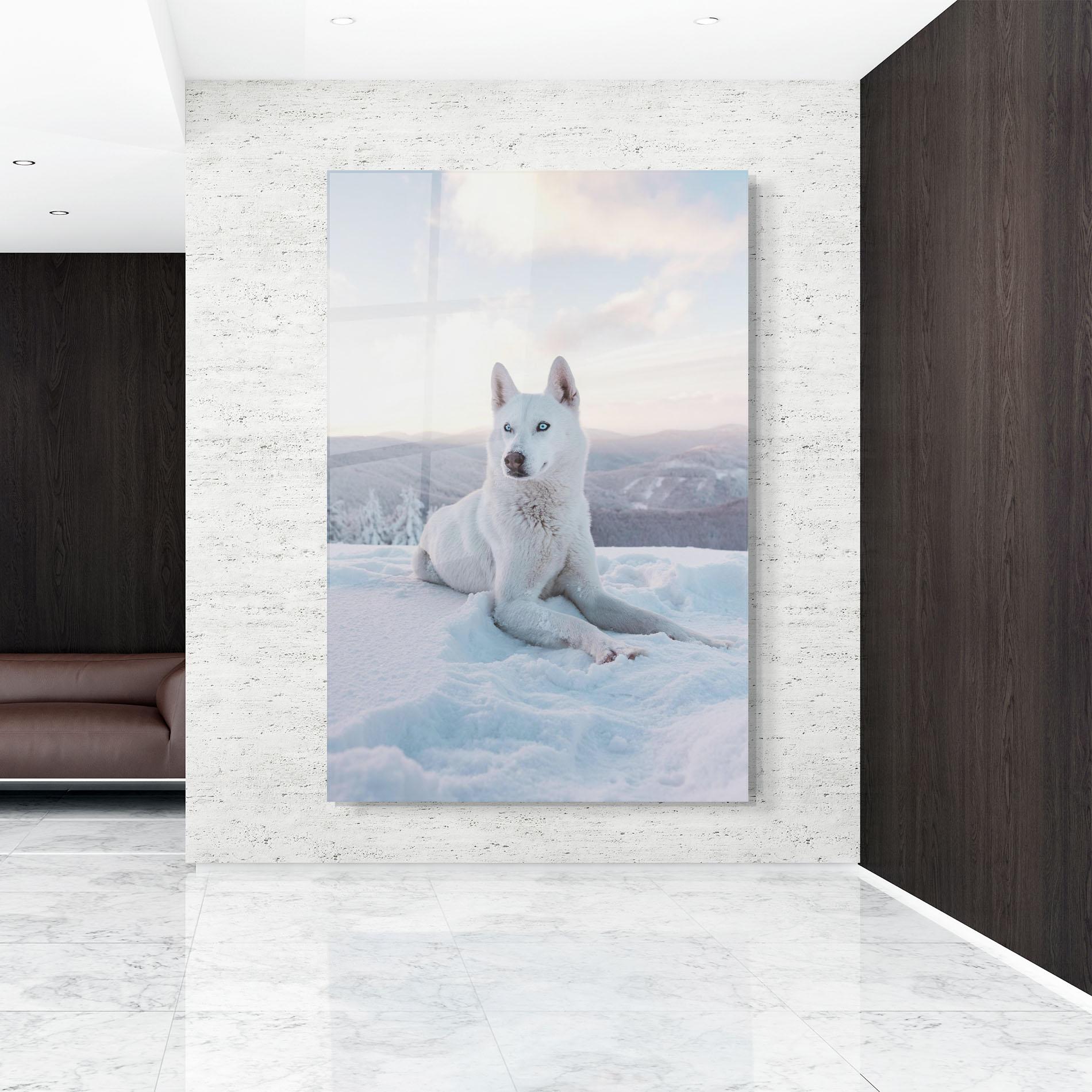 Üvegkép White Husky mockup 9
