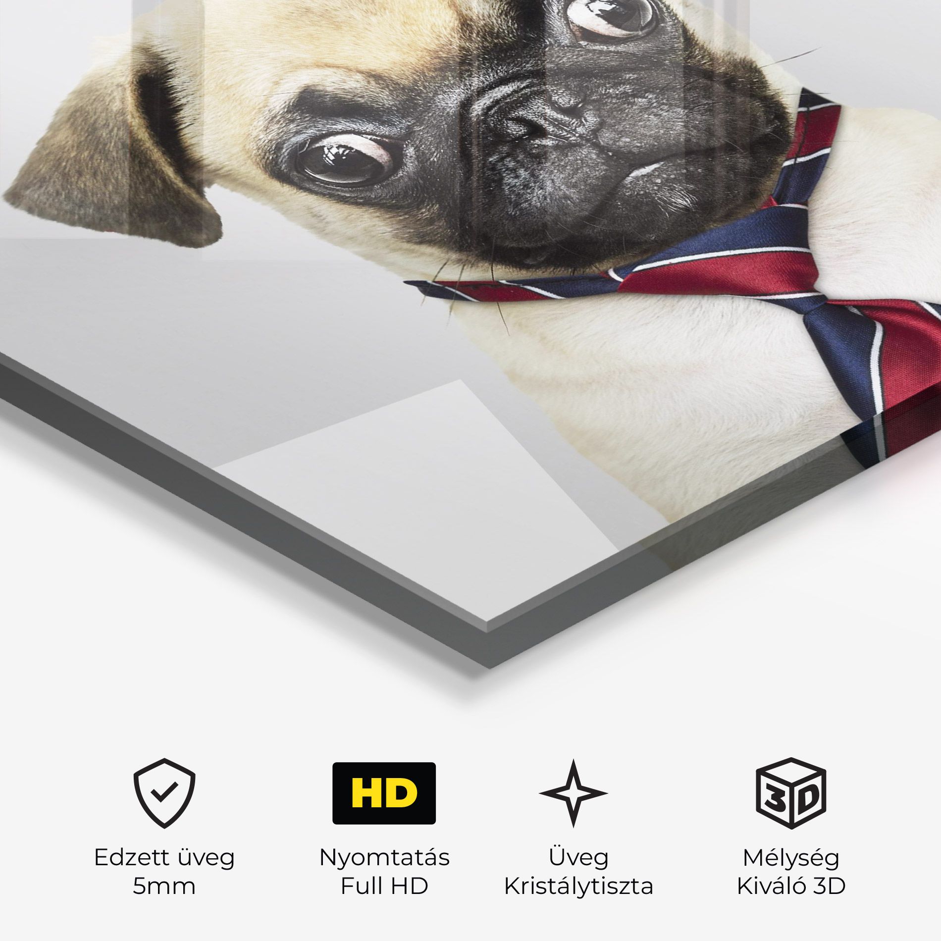 Business Pug mockup 3
