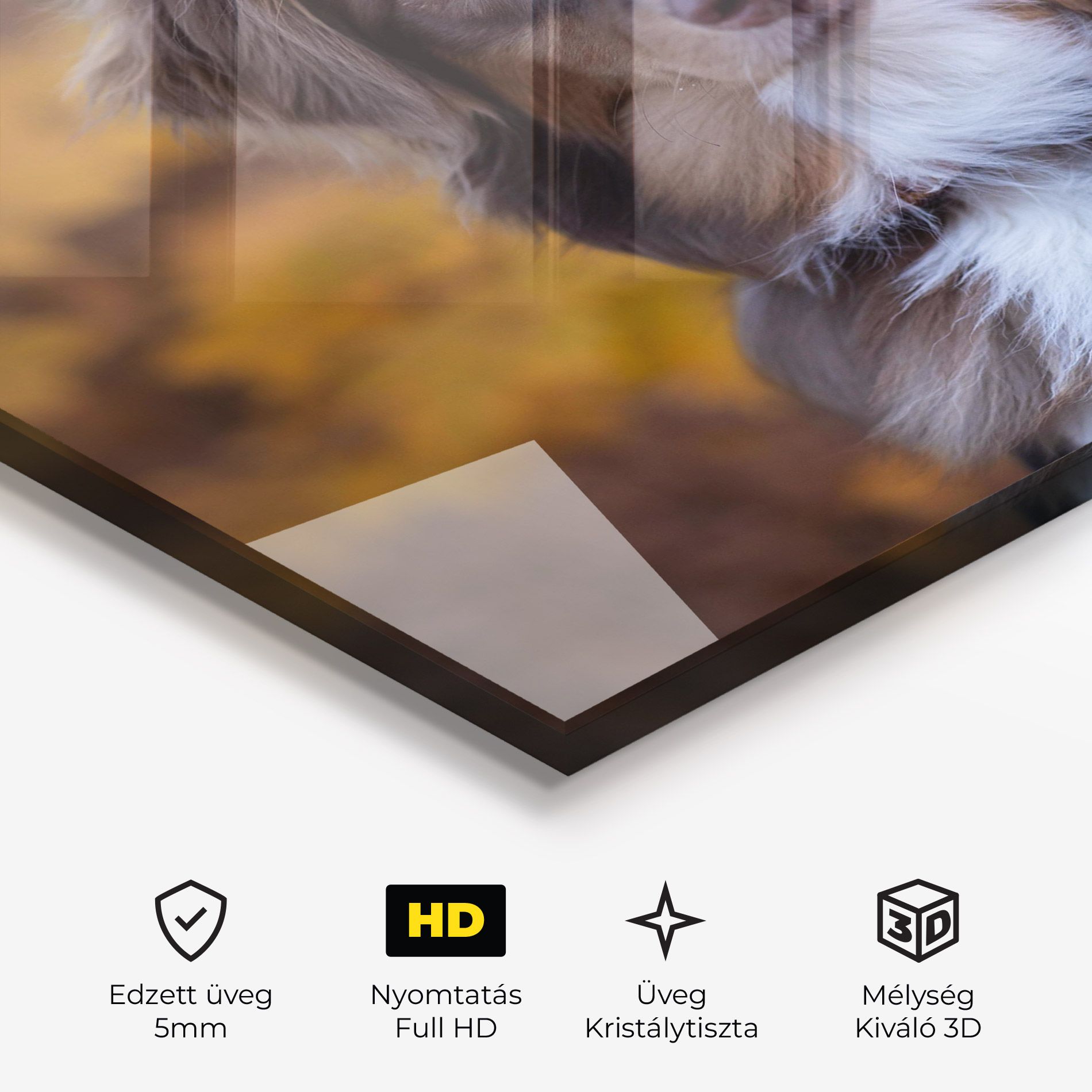 Coffee Brown Dog mockup 3