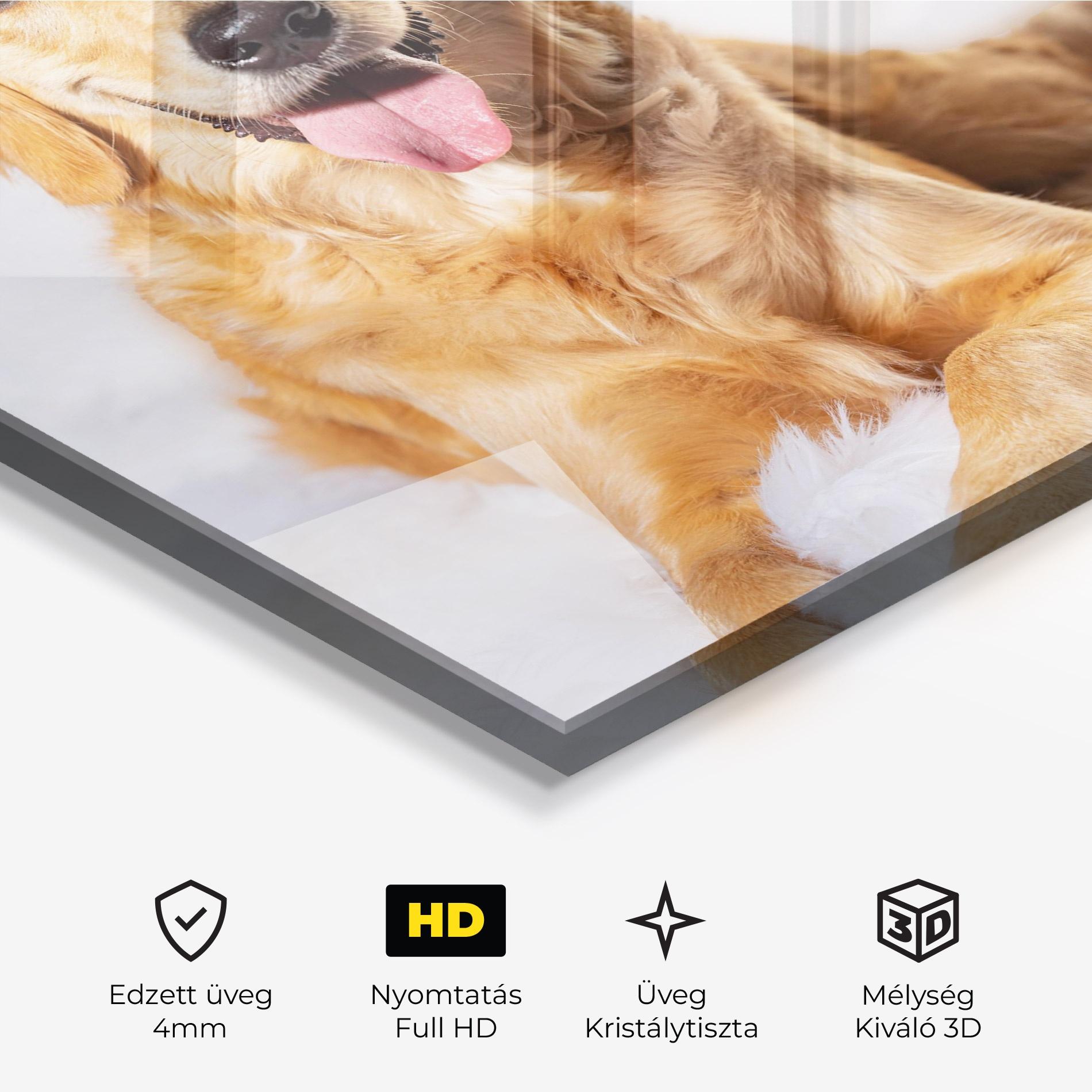 Üvegkép Beautiful Gold Dog mockup 3