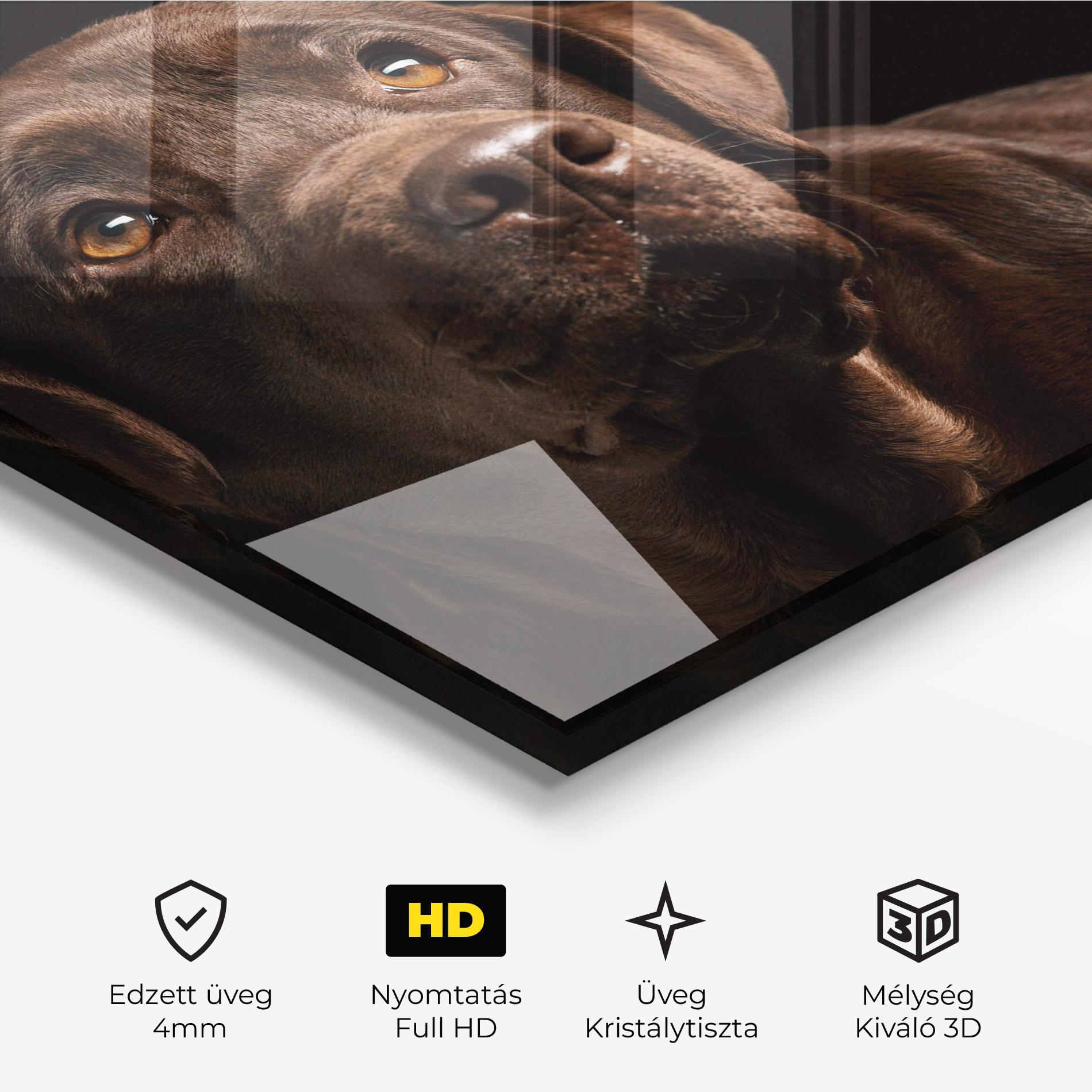 Üvegkép Brown Labrador mockup 3