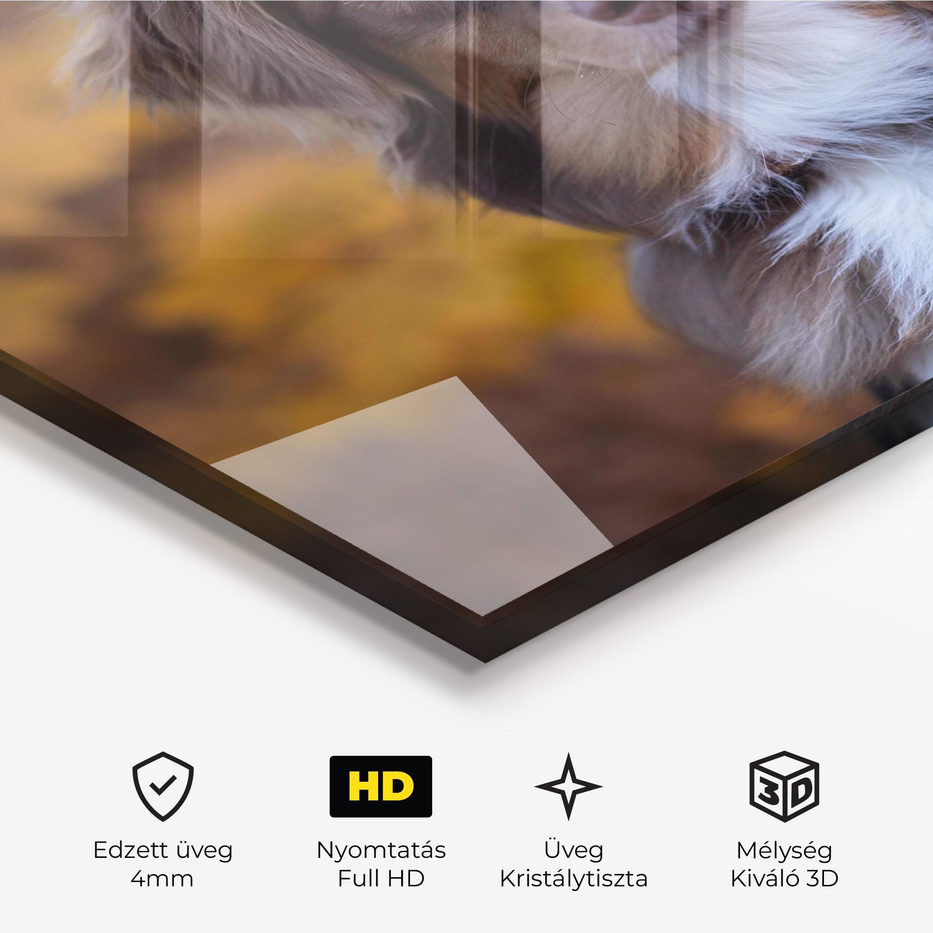 Üvegkép Coffee Brown Dog mockup 3