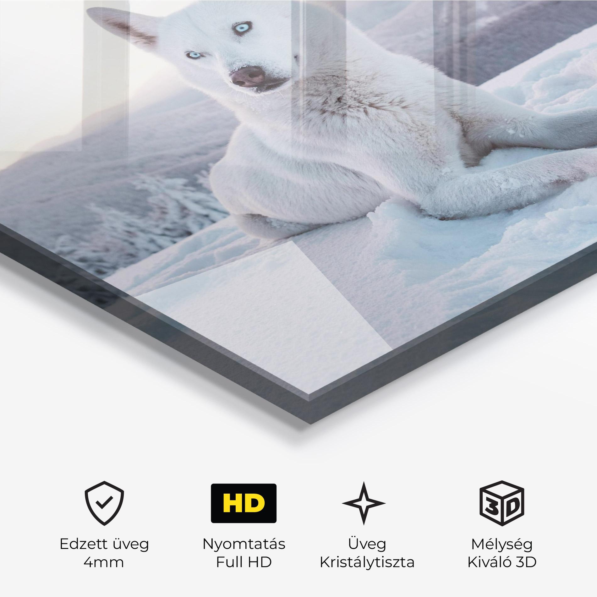 Üvegkép White Husky mockup 3