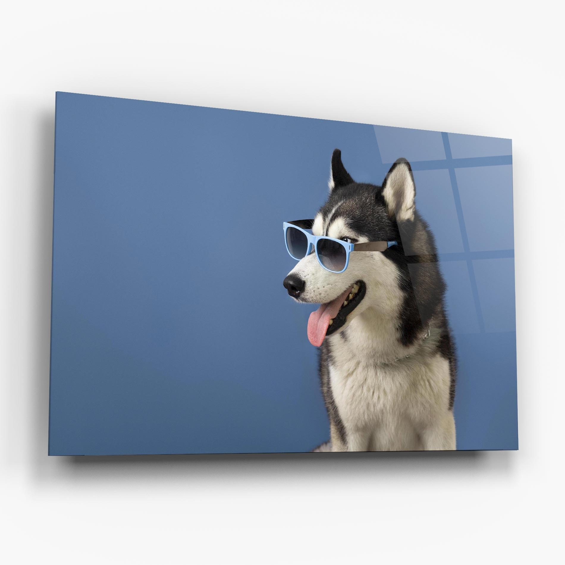 Üvegkép Blue Glasses Dog mockup 6