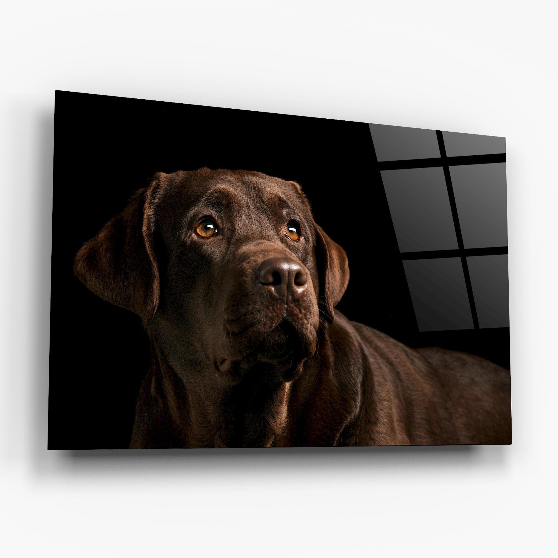 Üvegkép Brown Labrador mockup 6