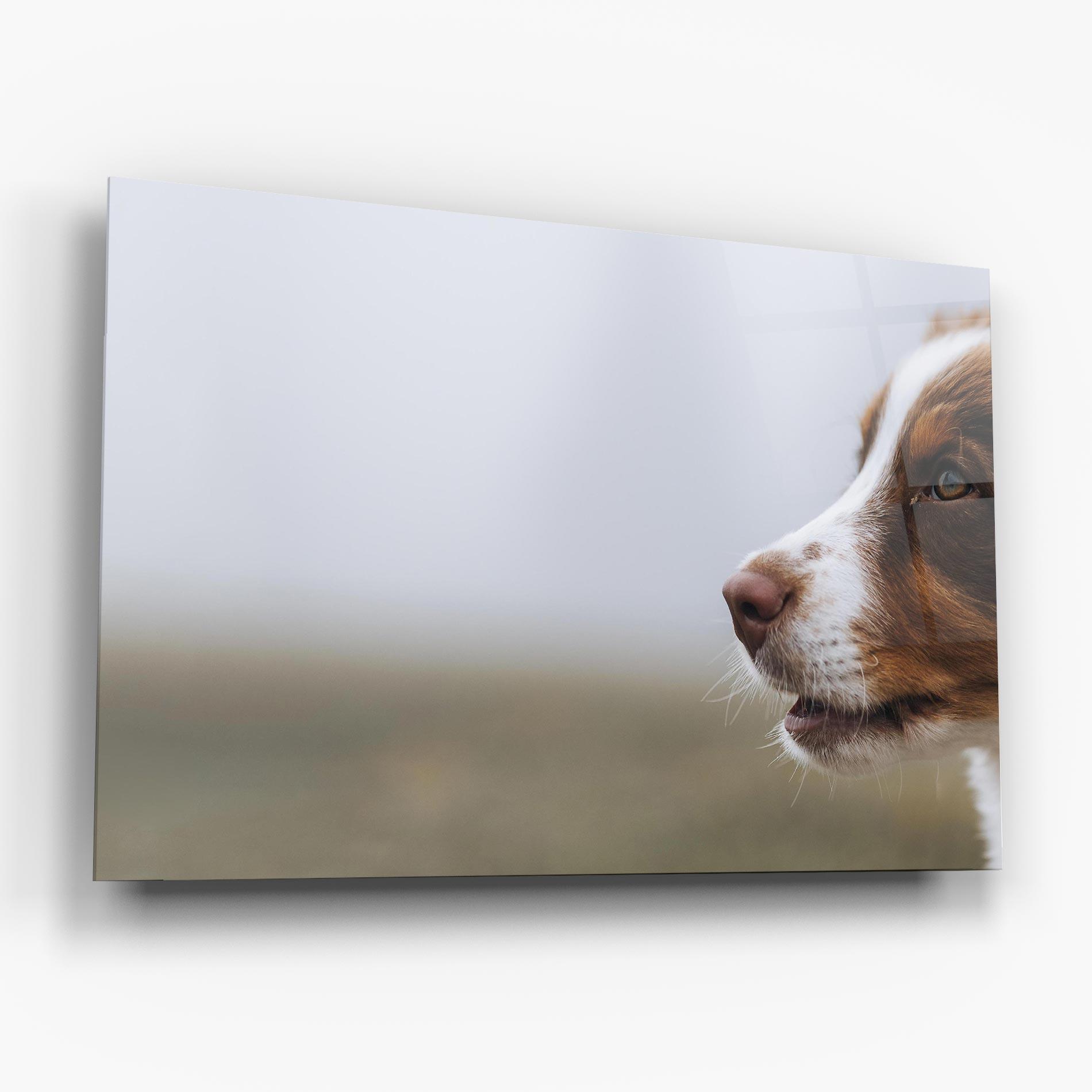 Üvegkép Brown White Dog mockup 6