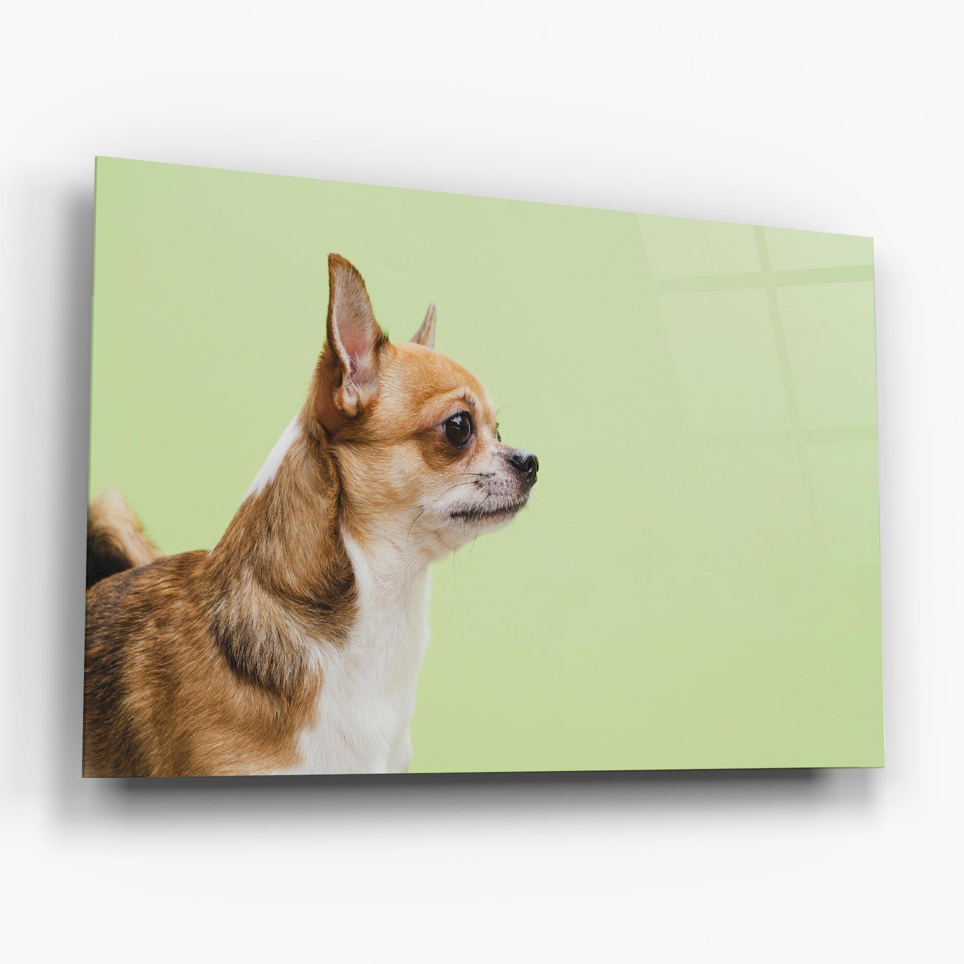 Üvegkép Chihuahua Dog mockup 6