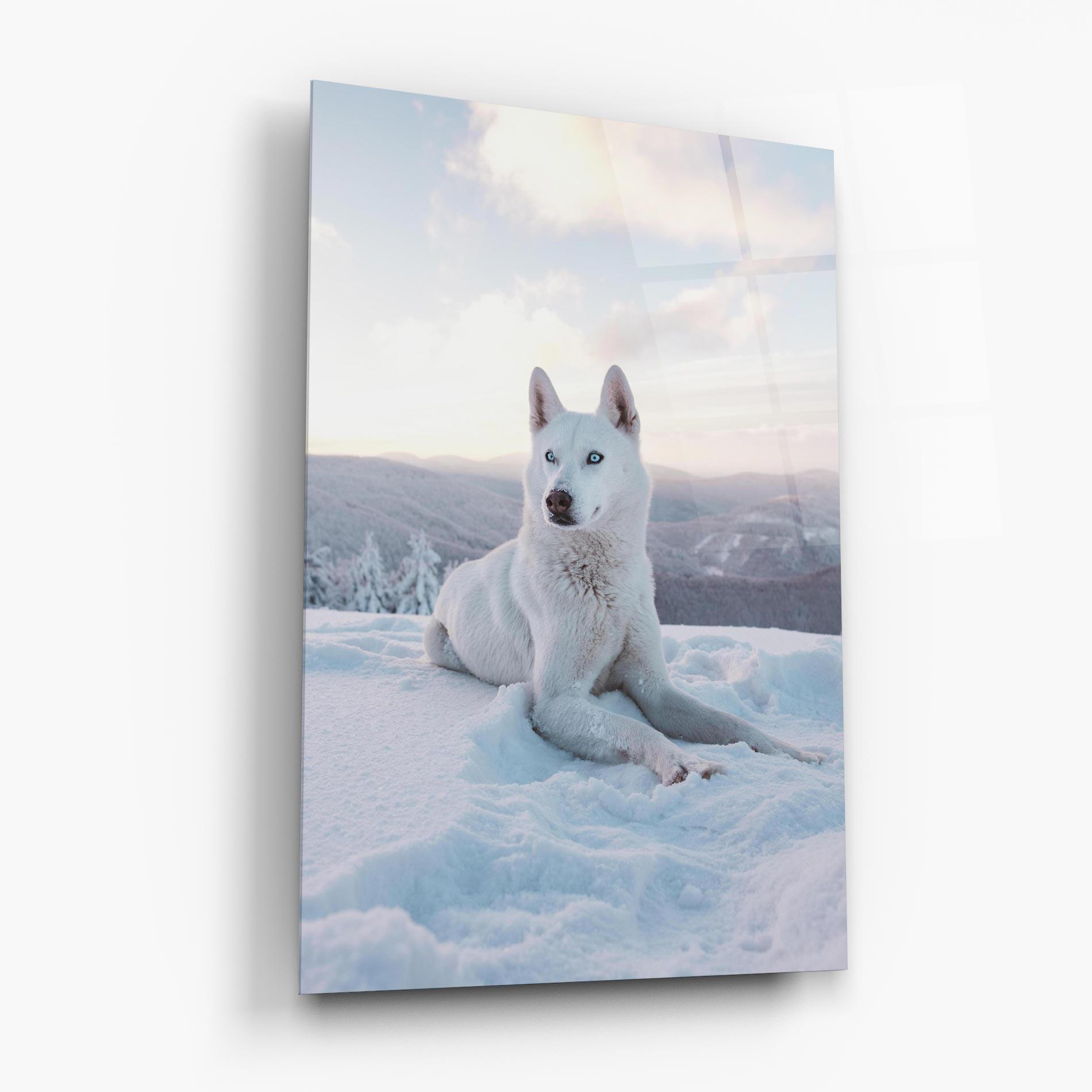 Üvegkép White Husky mockup 6