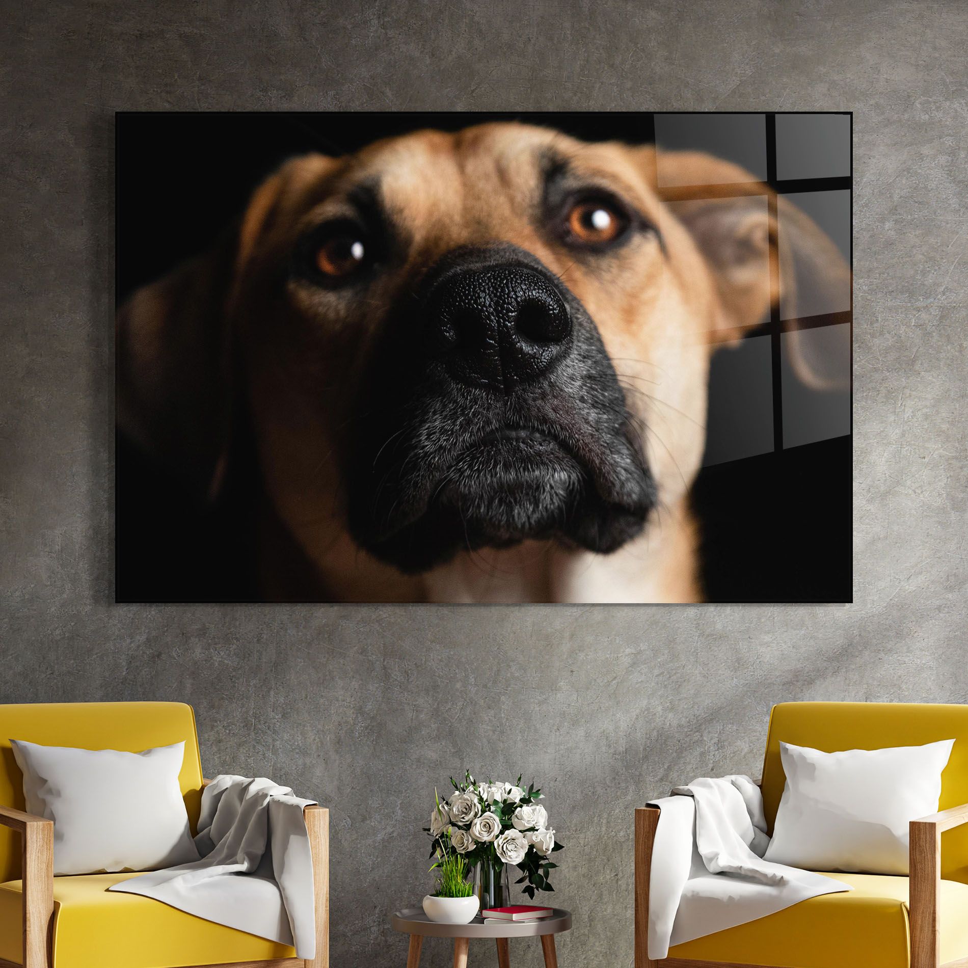 Black Nose Dog mockup 4