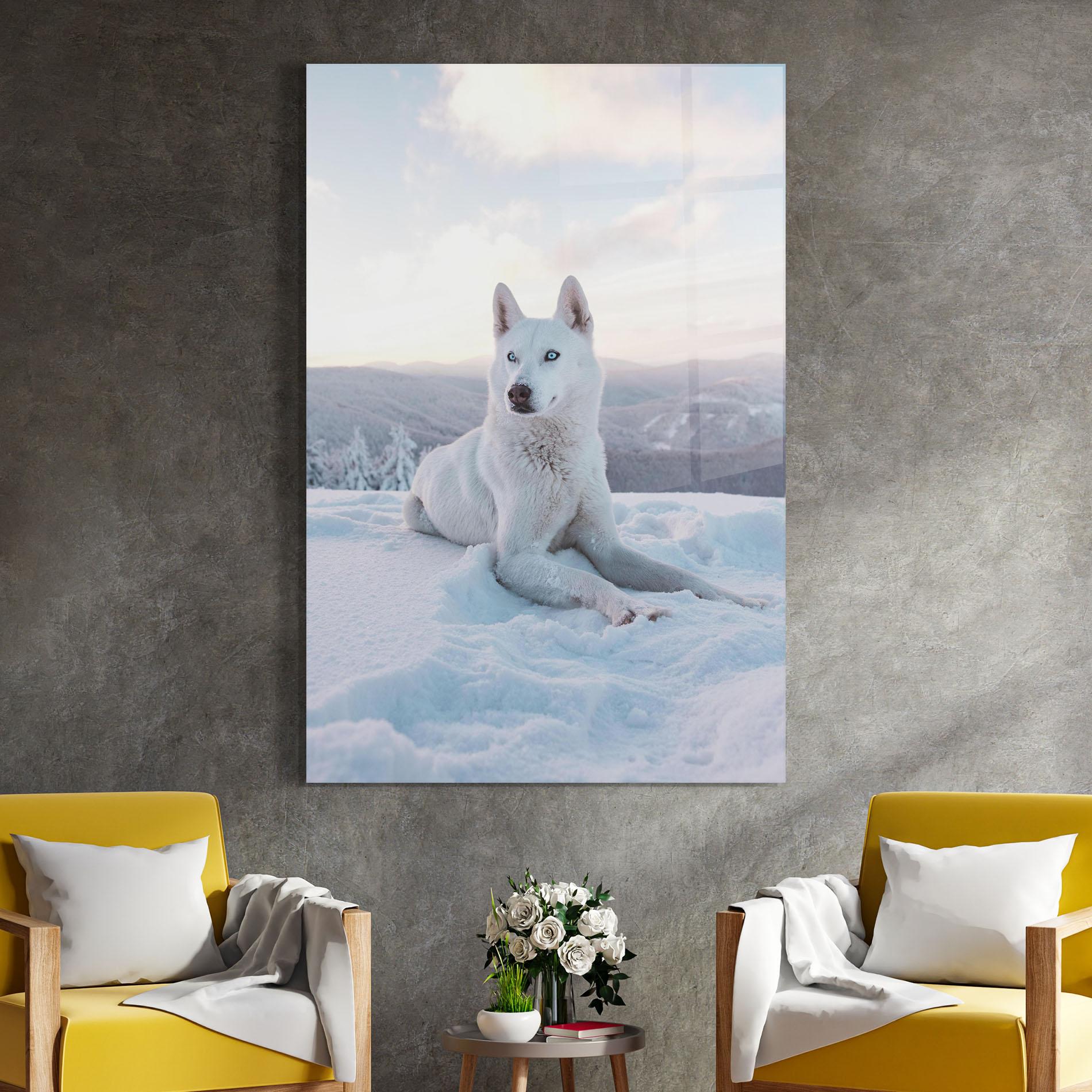 Üvegkép White Husky mockup 4
