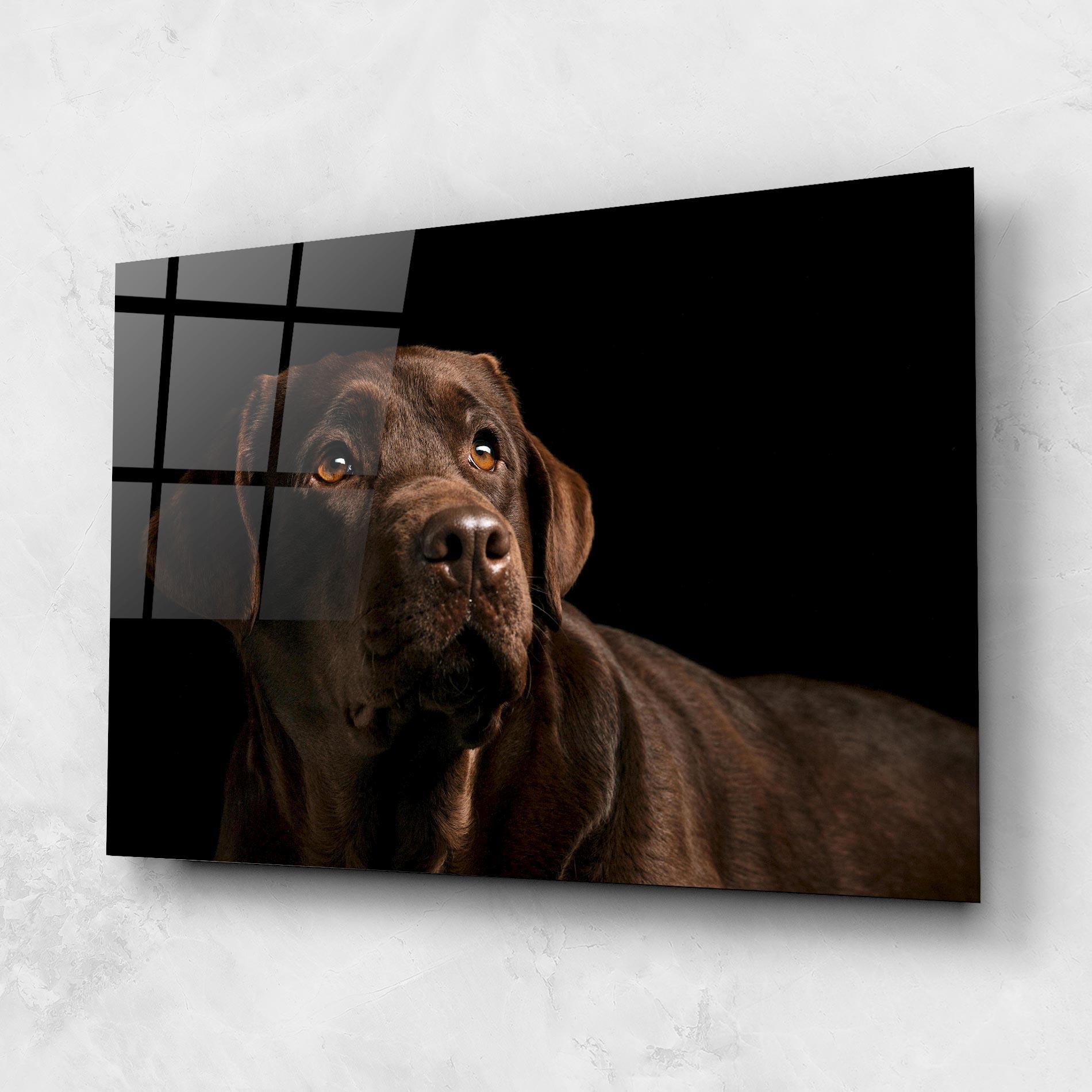Üvegkép Brown Labrador mockup 1