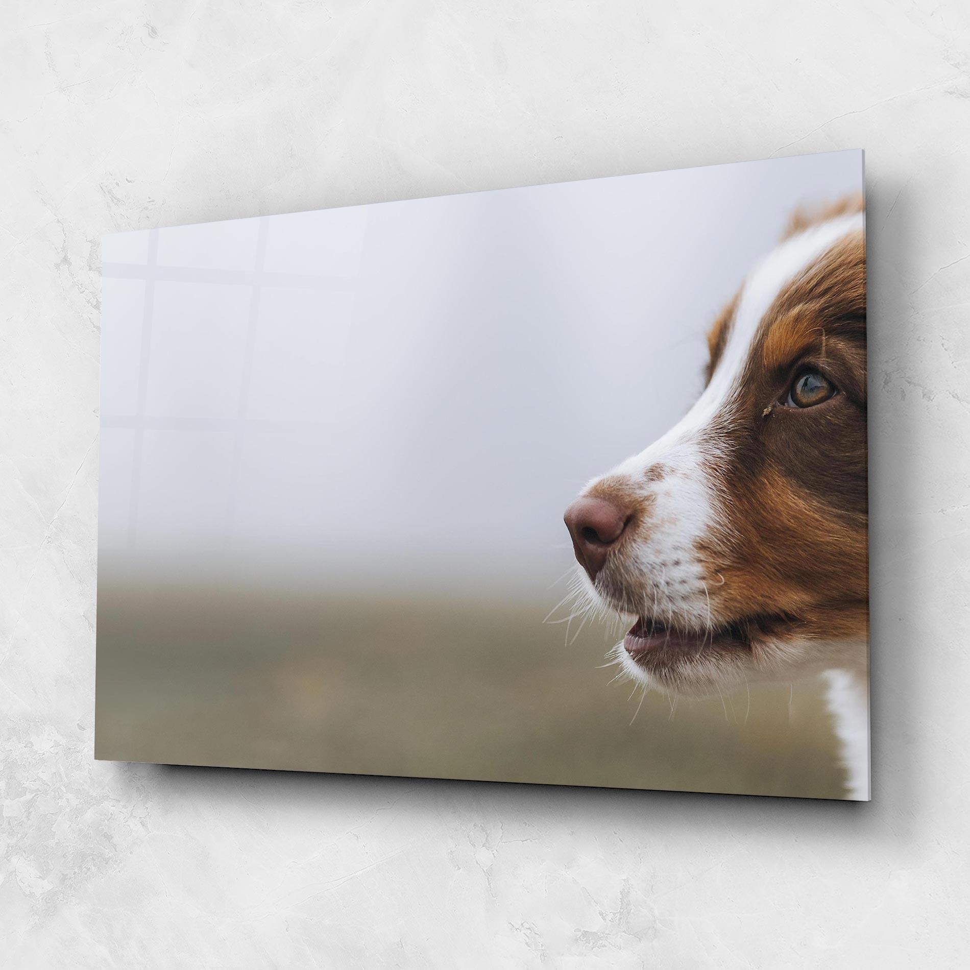 Üvegkép Brown White Dog mockup 1