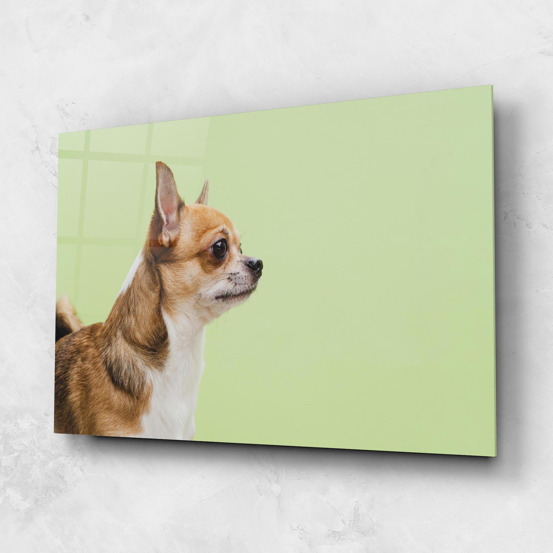 Üvegkép Chihuahua Dog mockup 1