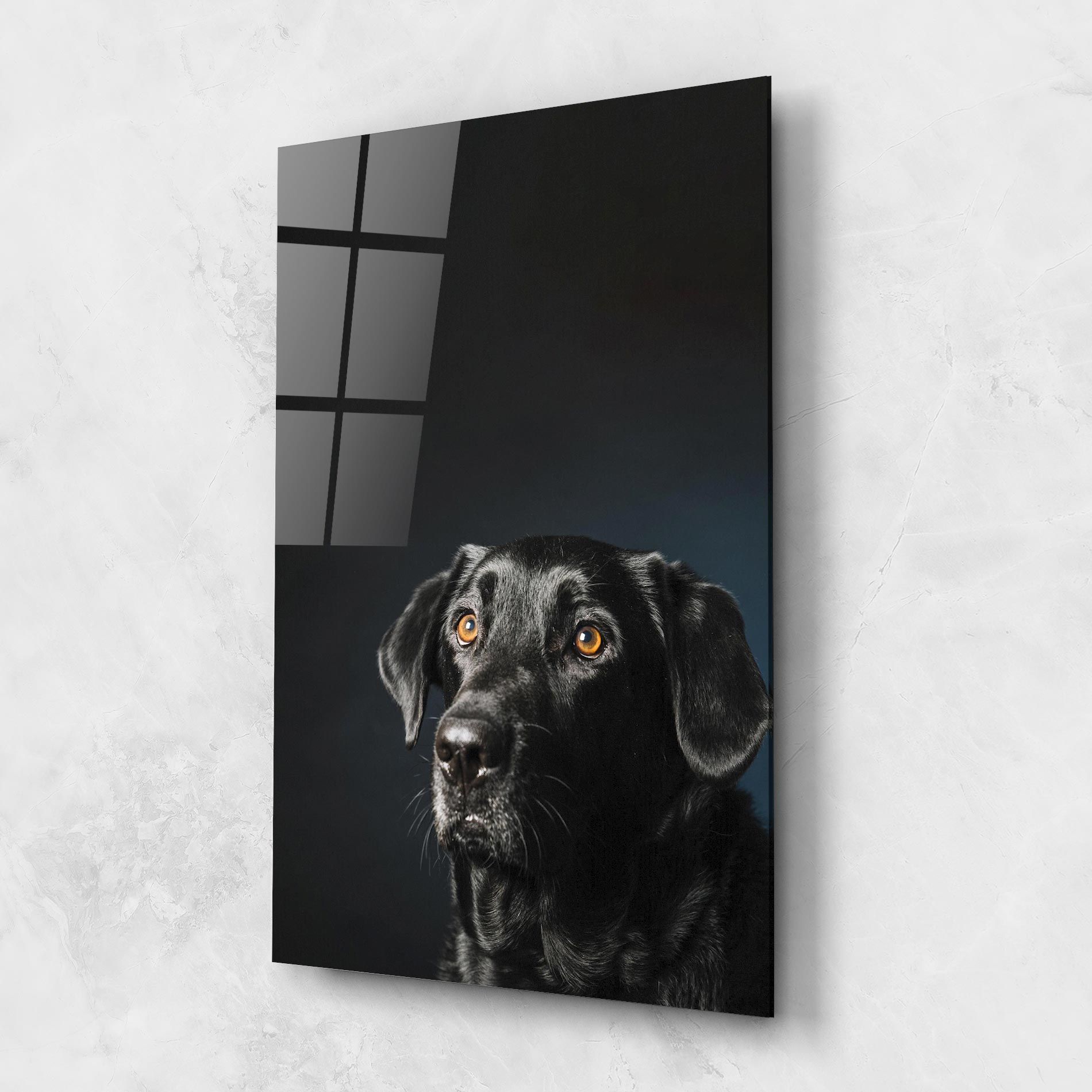 Brown Eyes Dog mockup 1