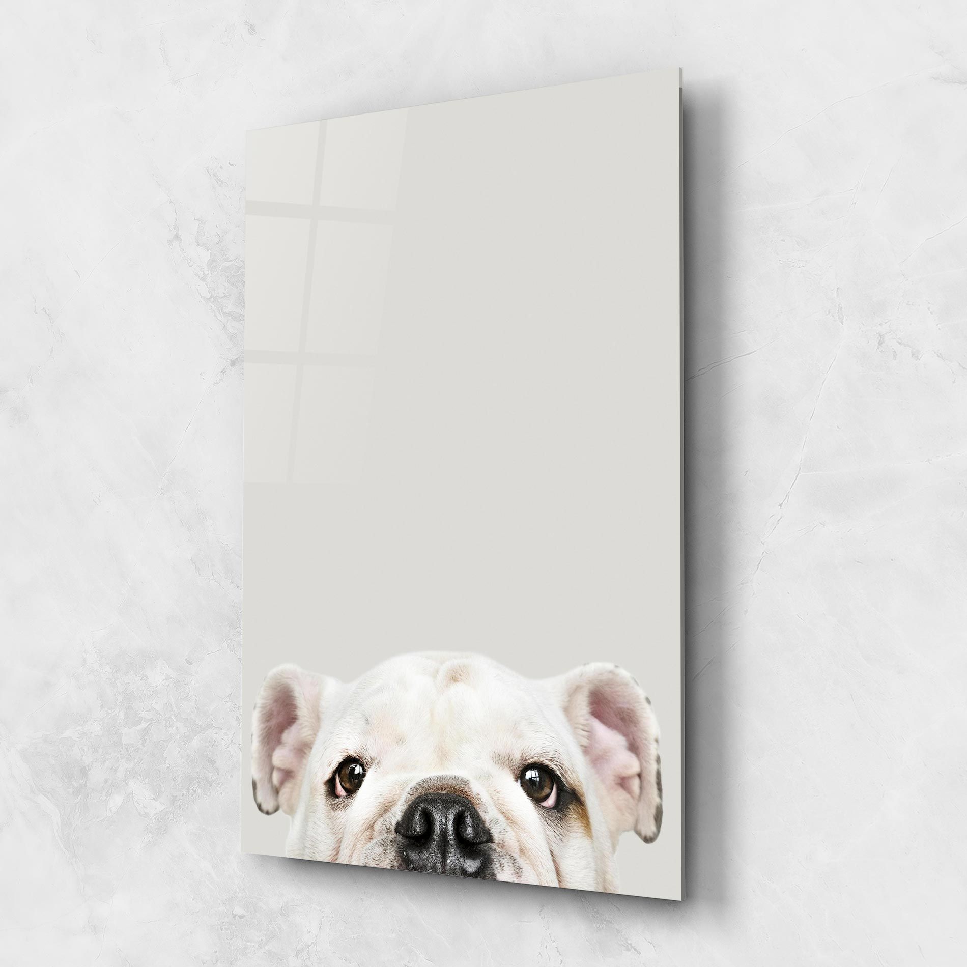 Bulldog Eyes mockup 1