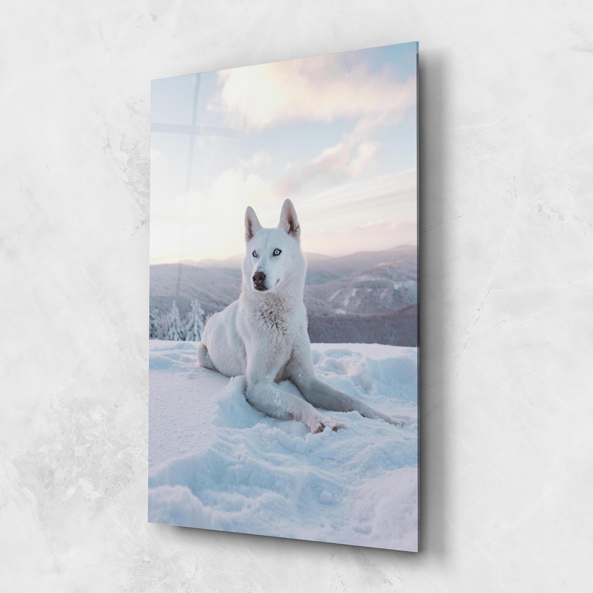 Üvegkép White Husky mockup 1
