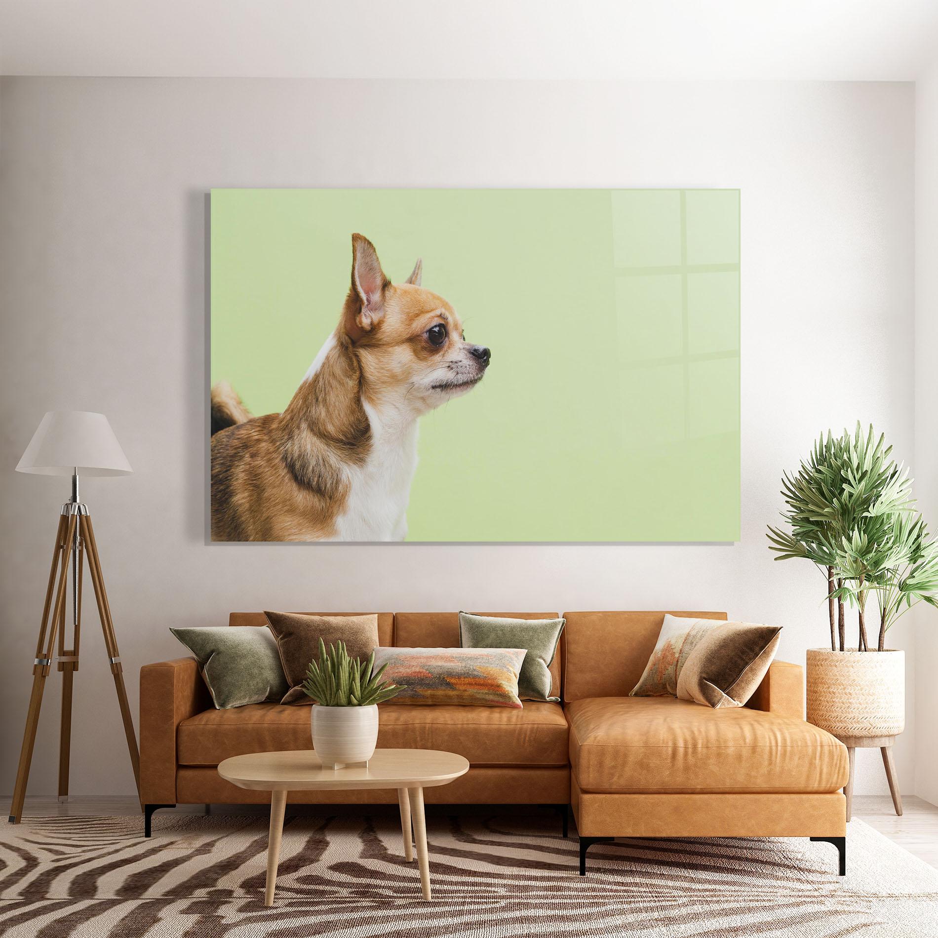 Üvegkép Chihuahua Dog mockup 7