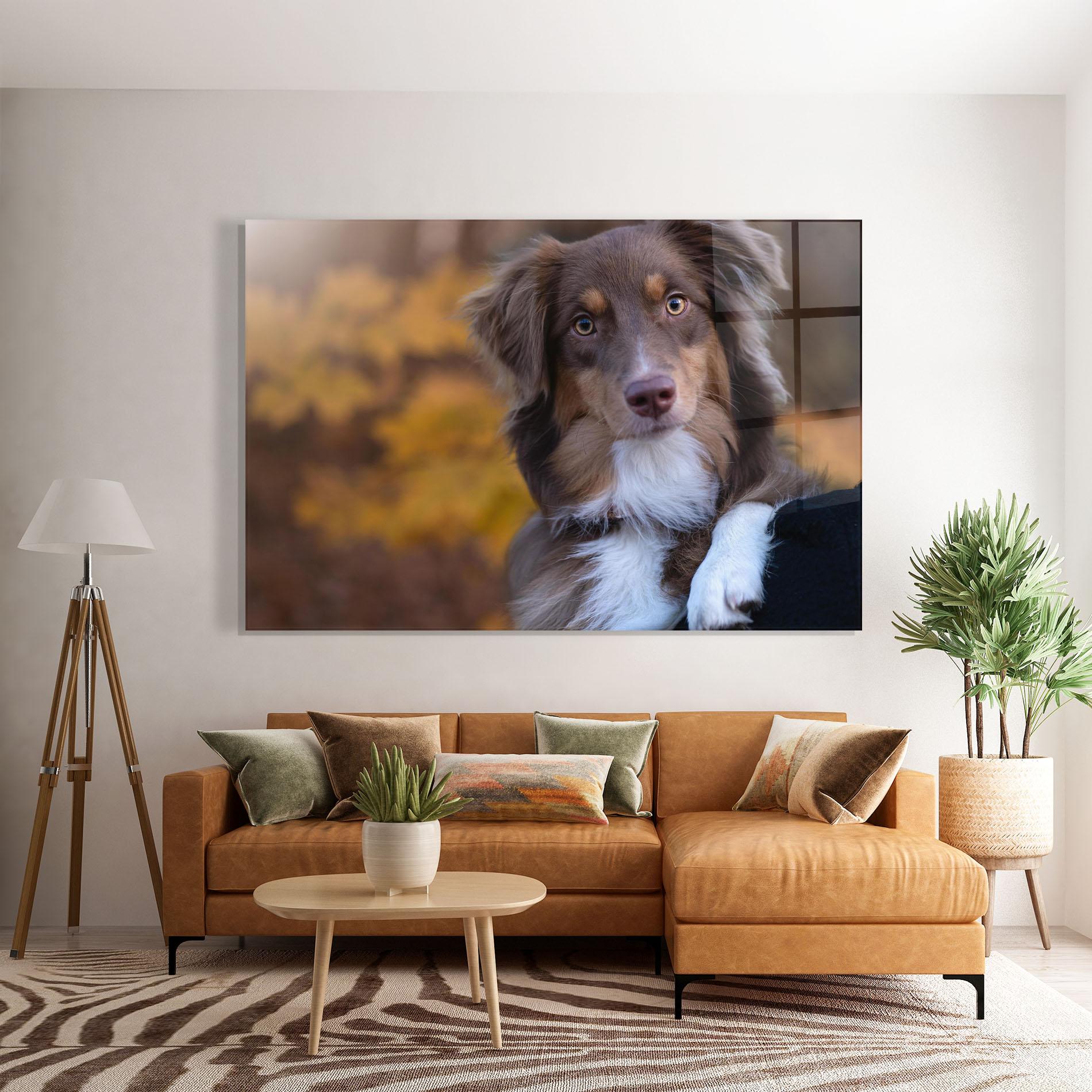 Üvegkép Coffee Brown Dog mockup 7