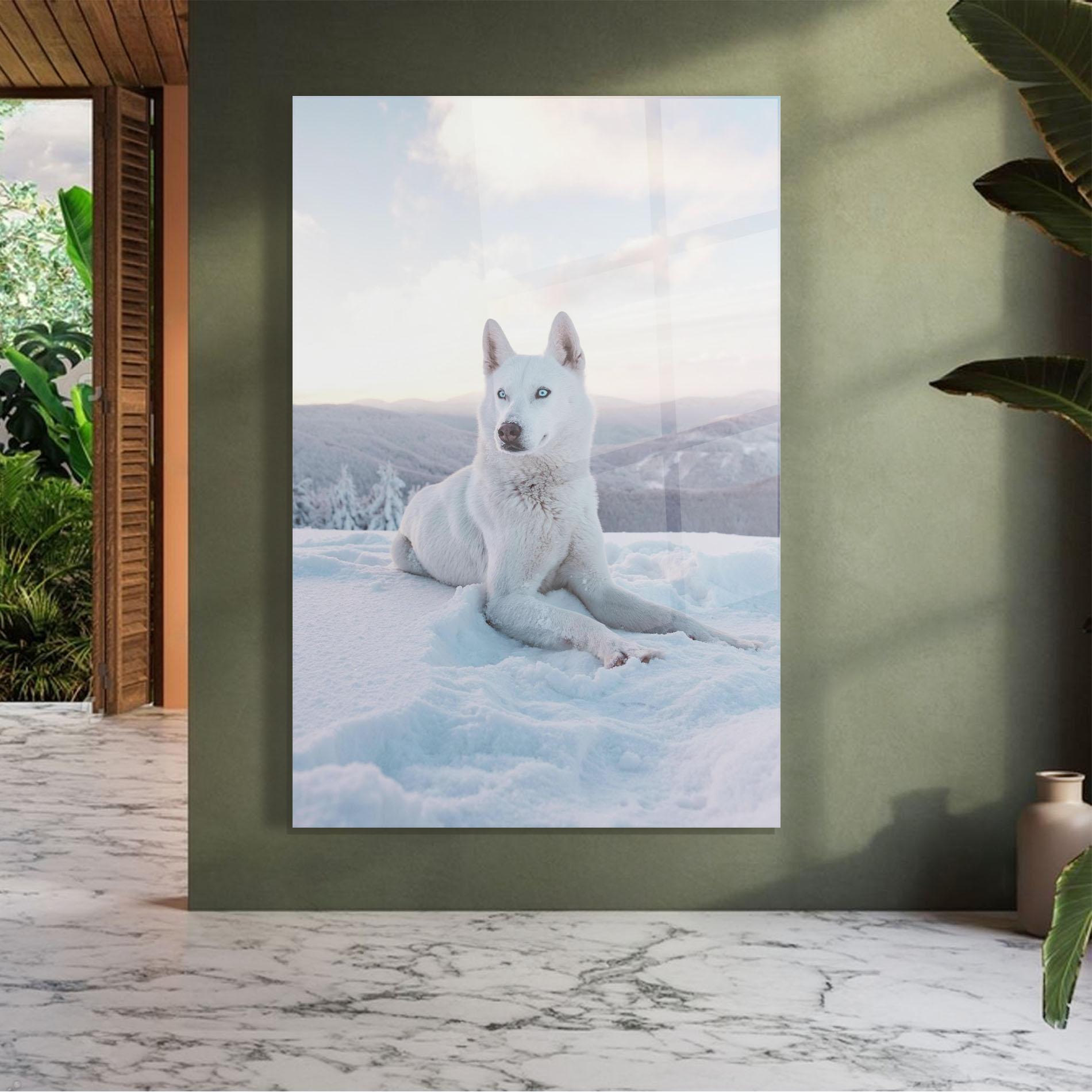 Üvegkép White Husky mockup 7