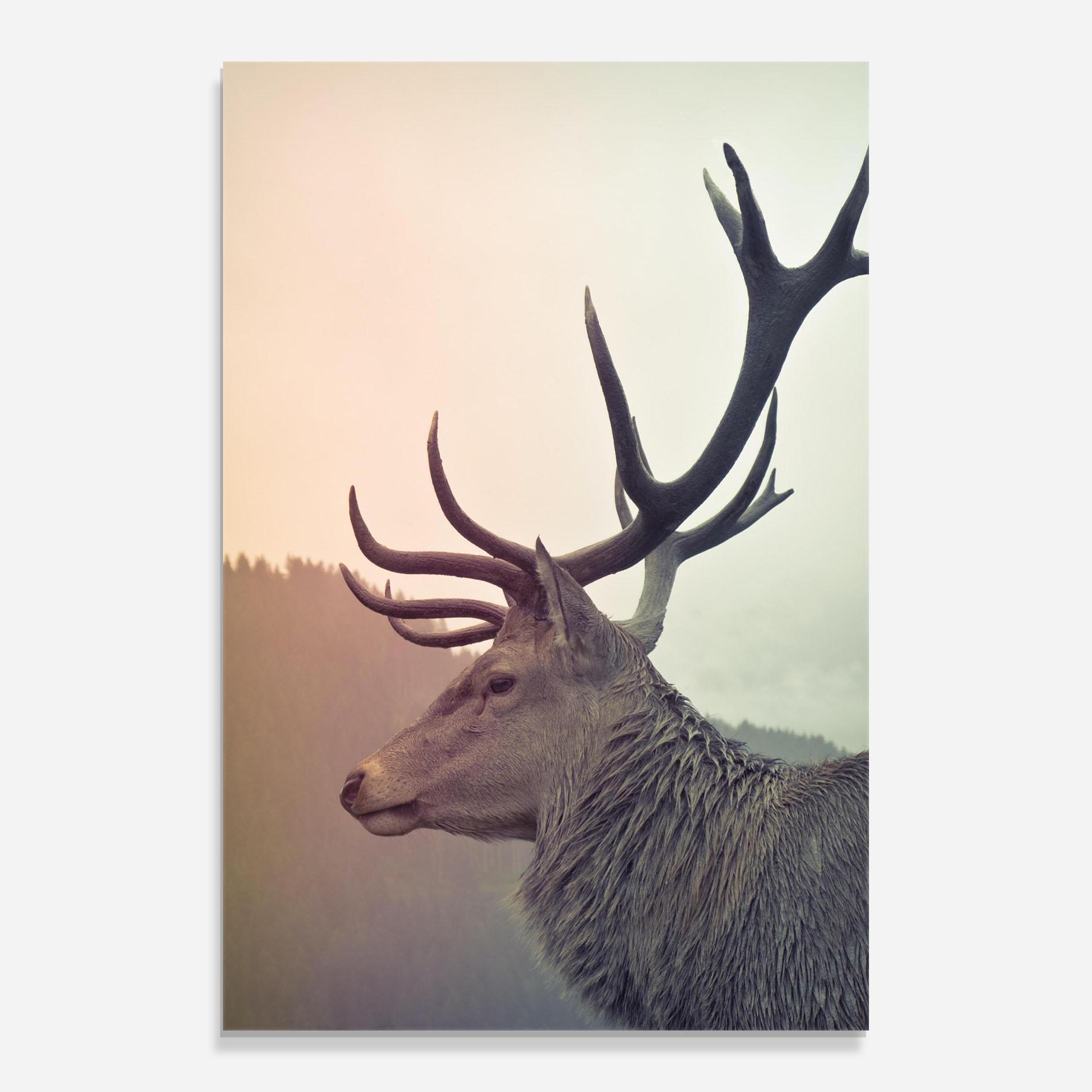 Üvegkép King Of The Forest mockup 0