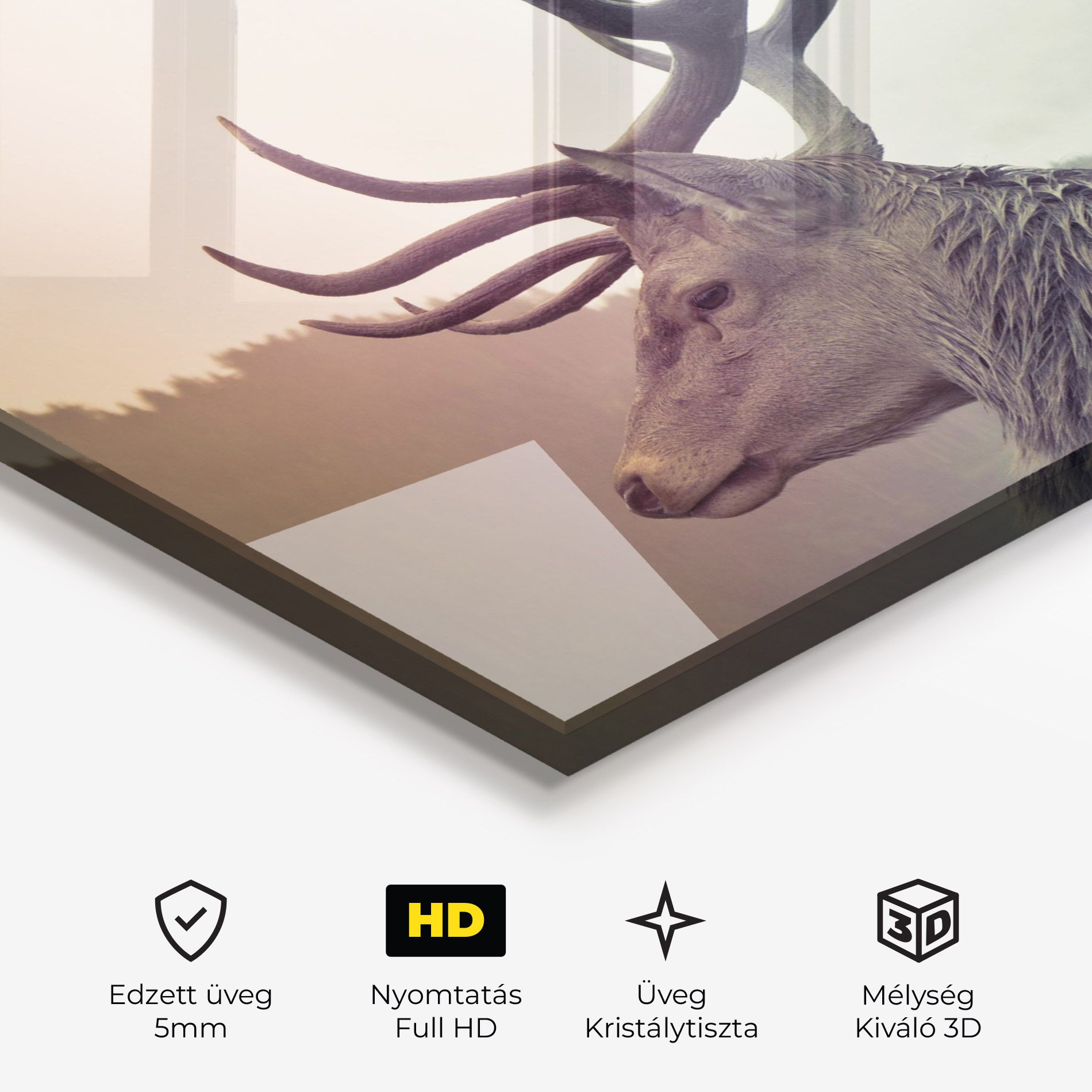 King Of The Forest mockup 3