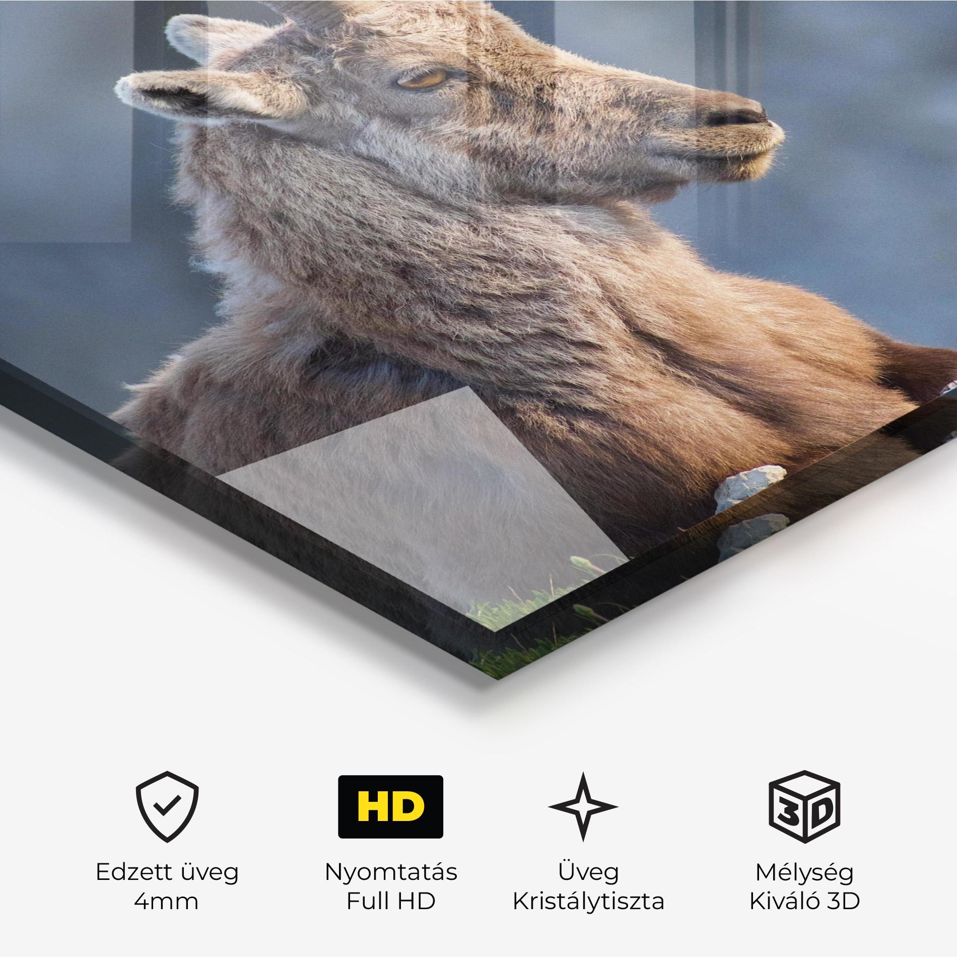 Üvegkép Mountain Goat mockup 3
