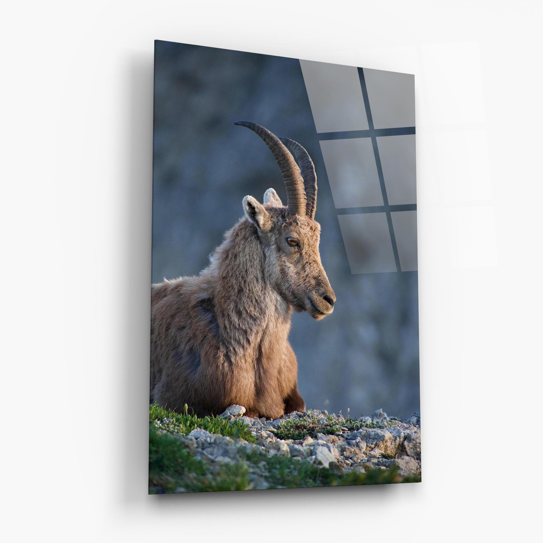 Üvegkép Mountain Goat mockup 6