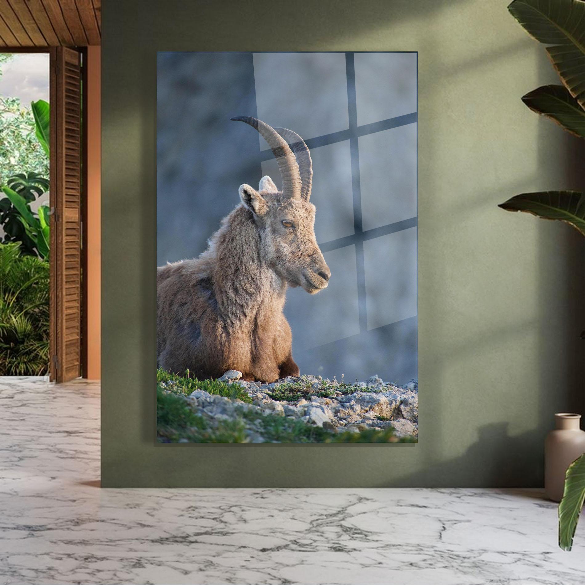 Üvegkép Mountain Goat mockup 7