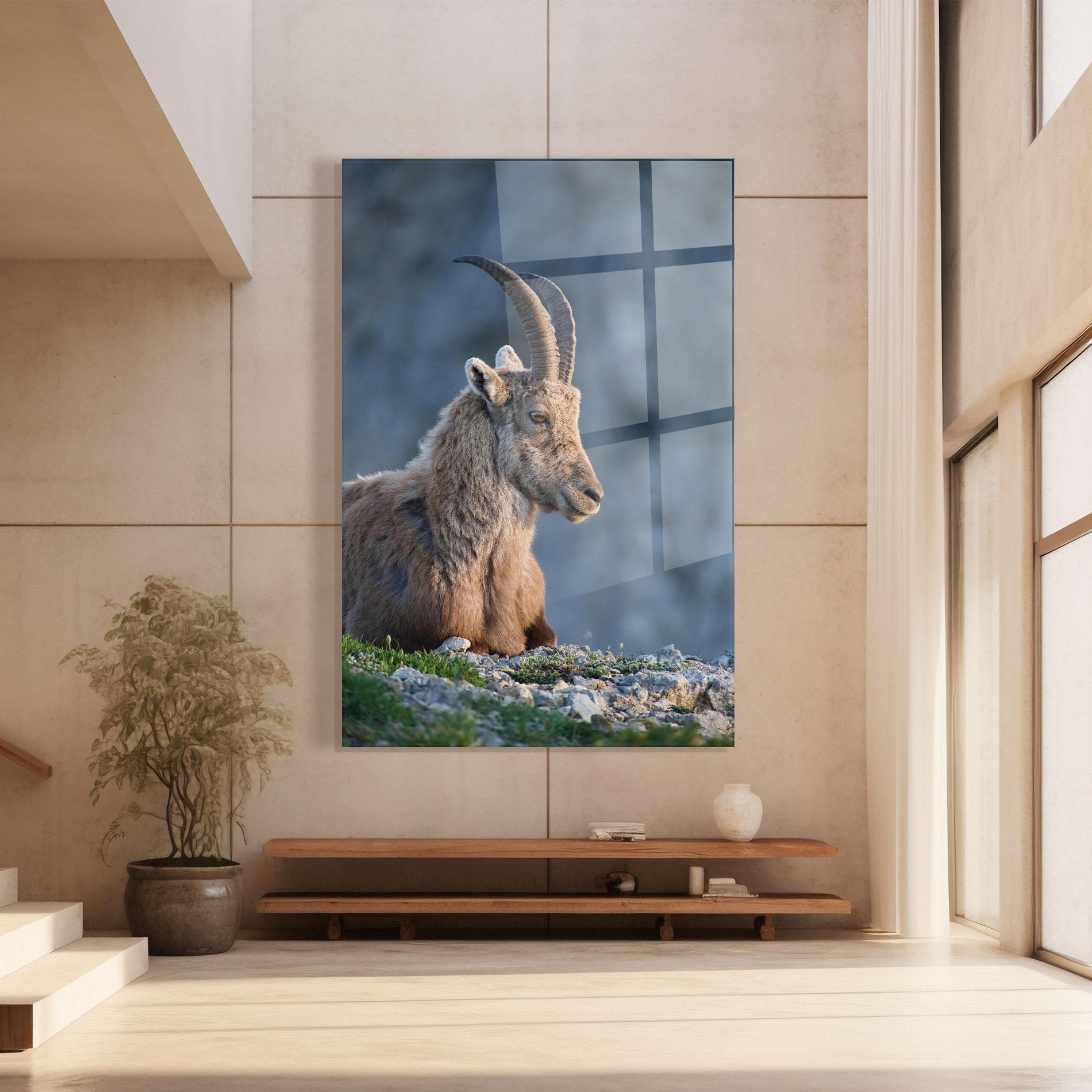 Üvegkép Mountain Goat mockup 8