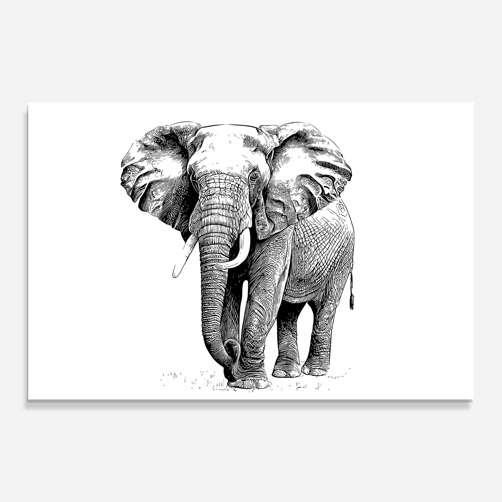 Üvegkép Black Lines Elephant mockup 0